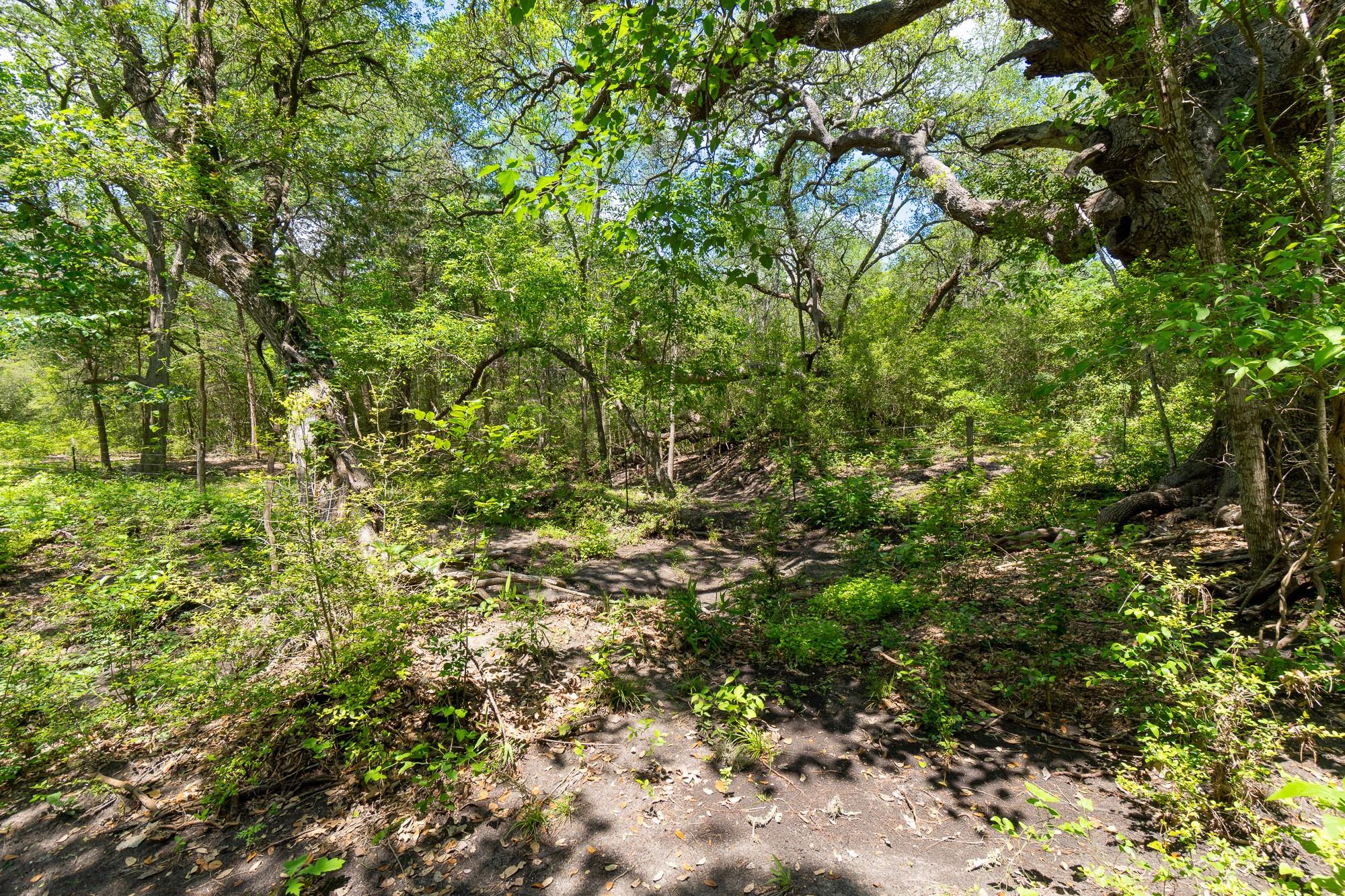 5018 Wolters Rd, Schulenburg, TX 78956
