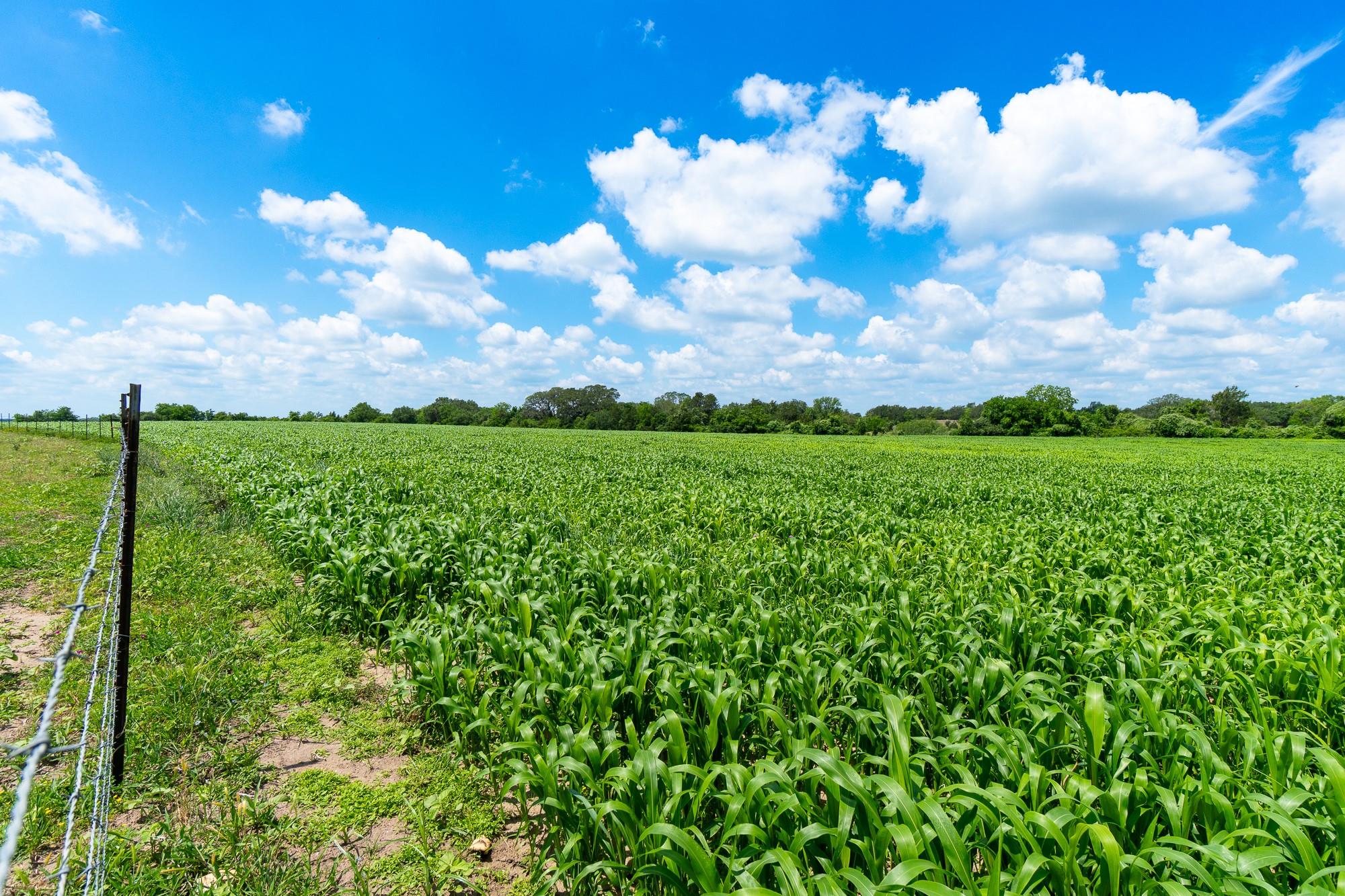 5018 Wolters Rd, Schulenburg, TX 78956