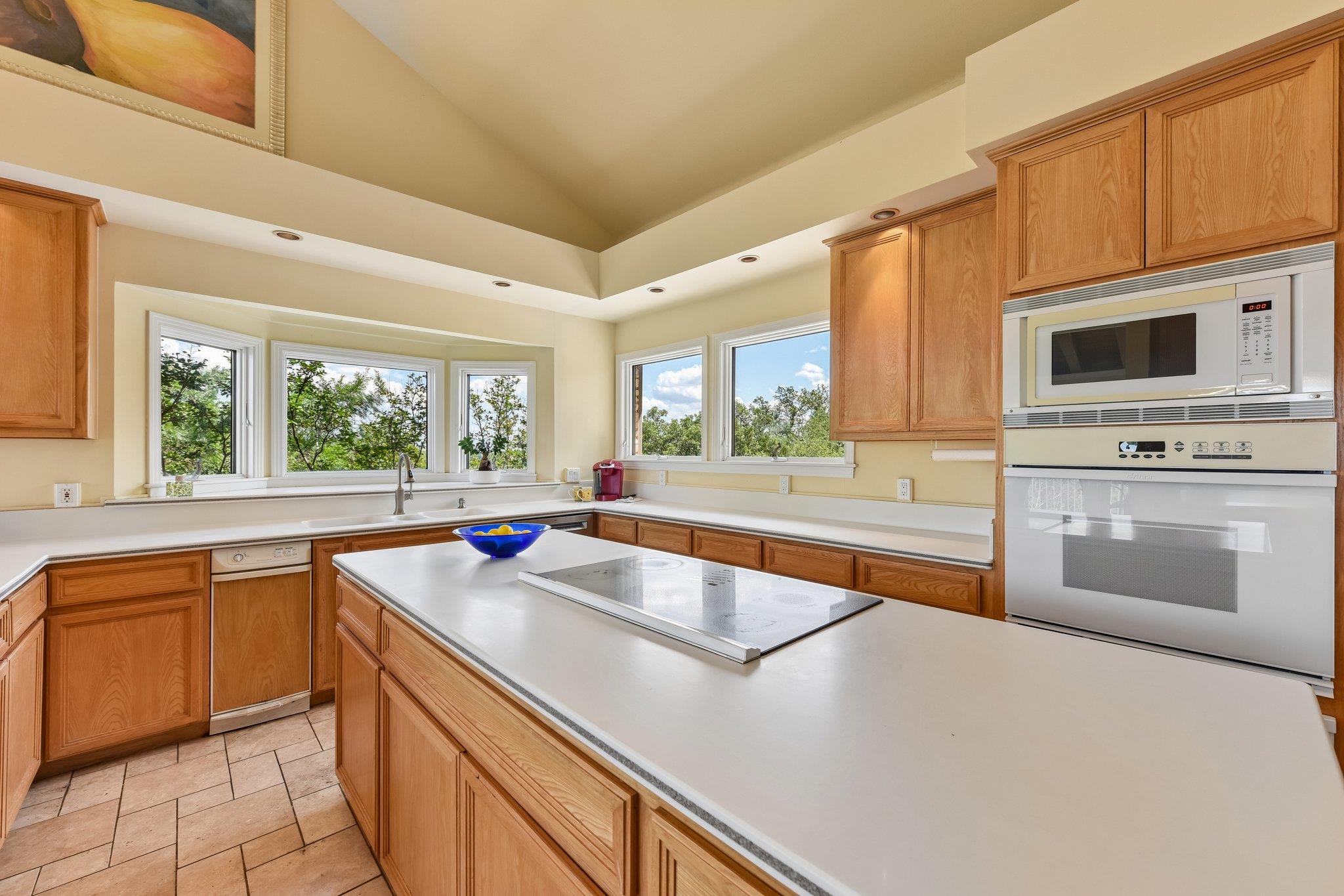 4600 Cat Mountain Dr, Austin, TX 78731