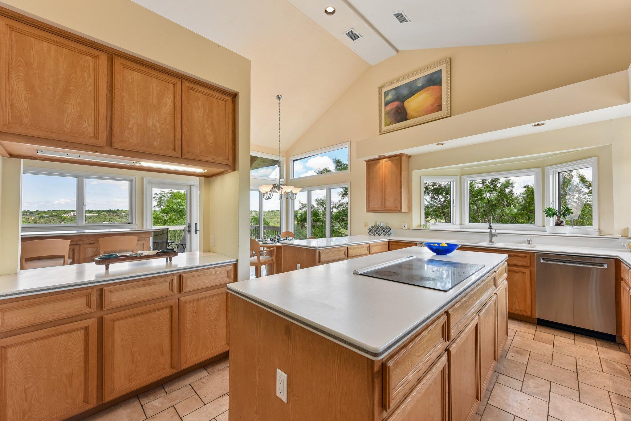 4600 Cat Mountain Dr, Austin, TX 78731