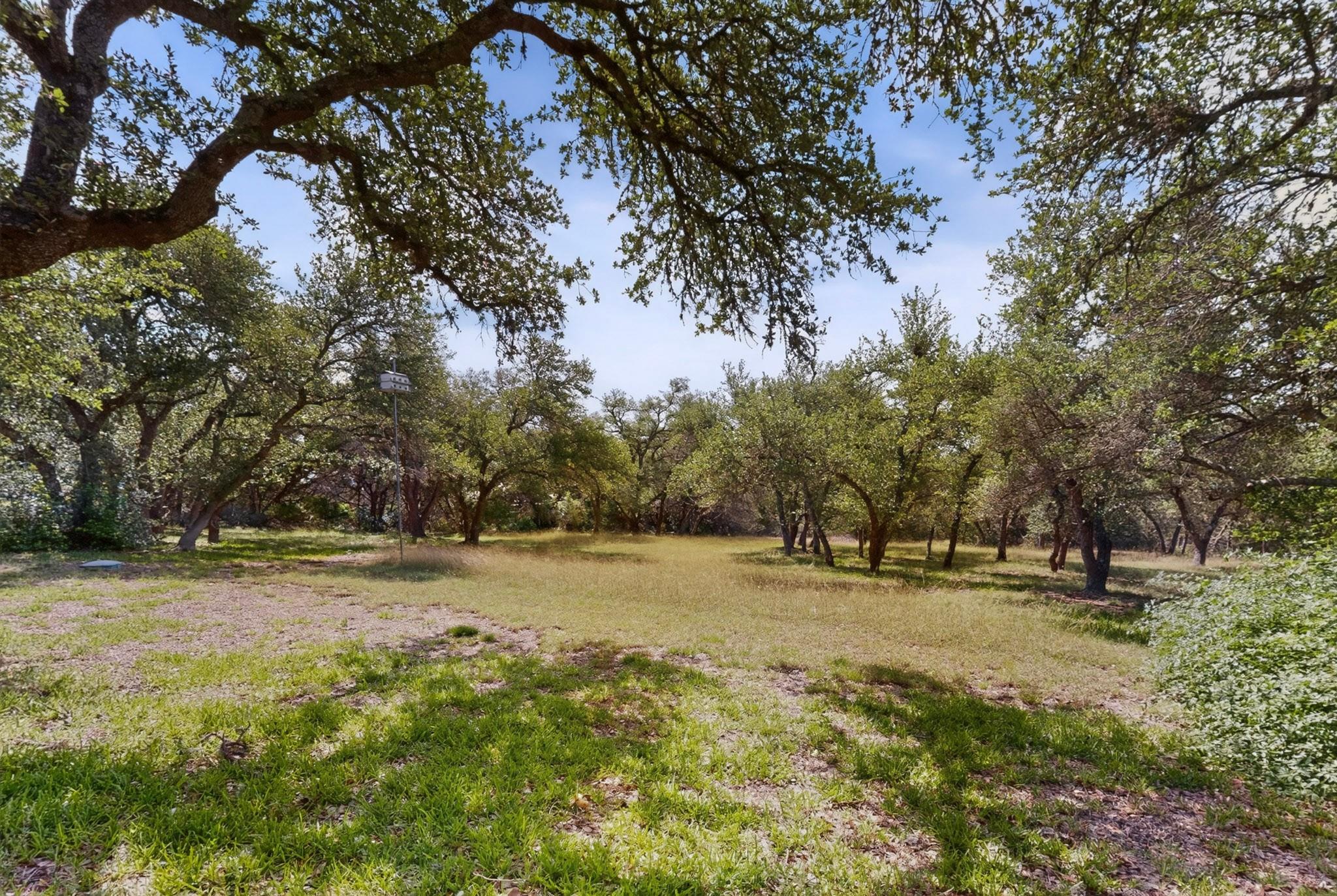 1003 Pier Branch Rd, Dripping Springs, TX 78620
