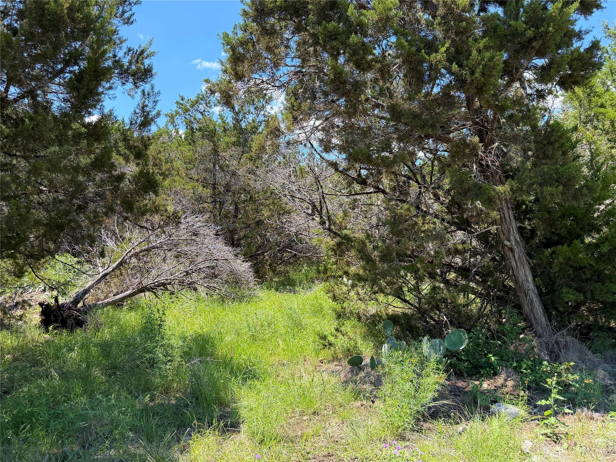 1841 Canyon Lake Dr, Canyon Lake, TX 78133