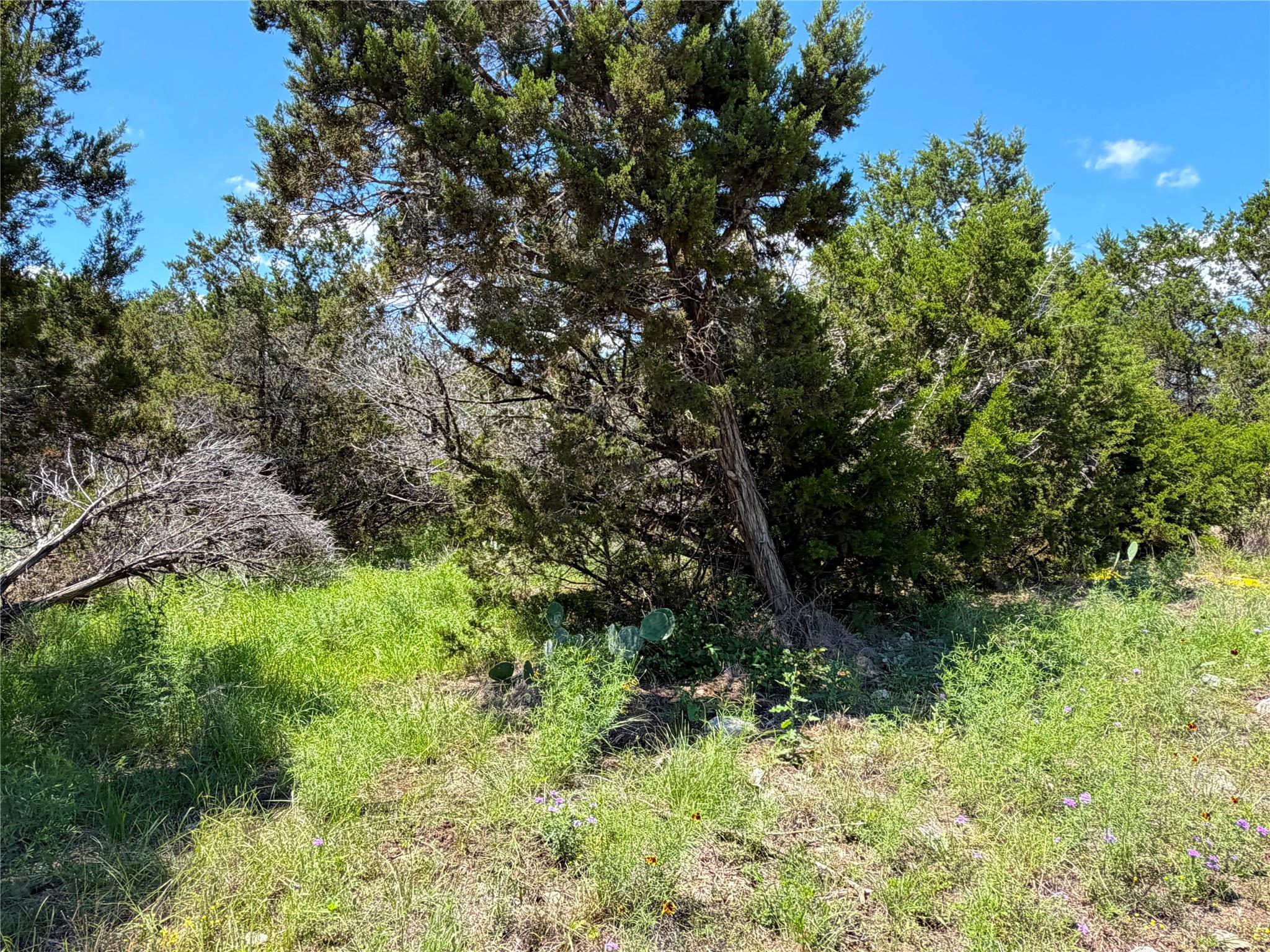 1841 Canyon Lake Dr, Canyon Lake, TX 78133