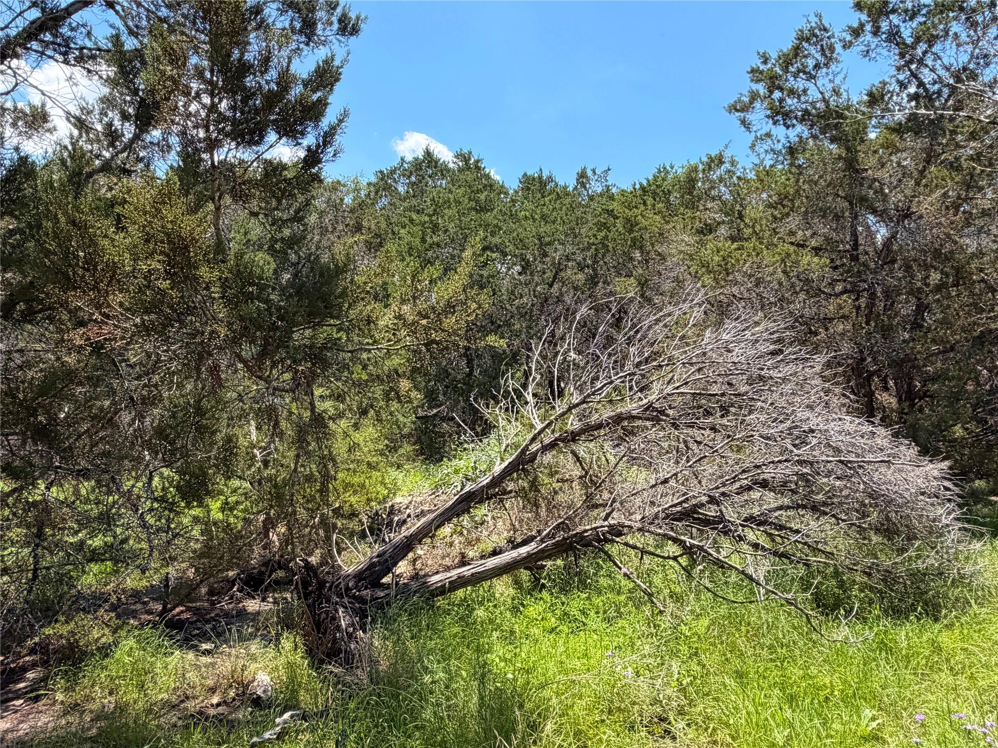 1841 Canyon Lake Dr, Canyon Lake, TX 78133