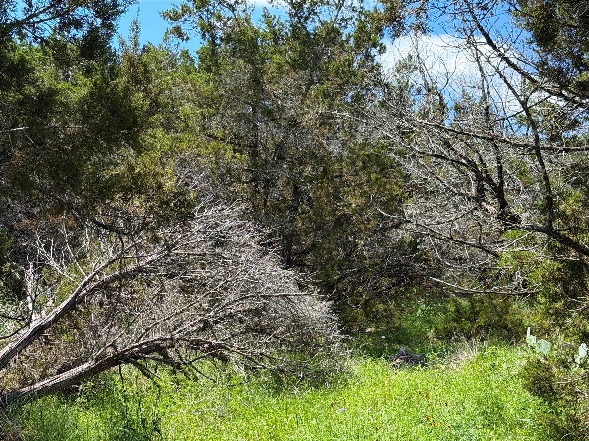 1841 Canyon Lake Dr, Canyon Lake, TX 78133