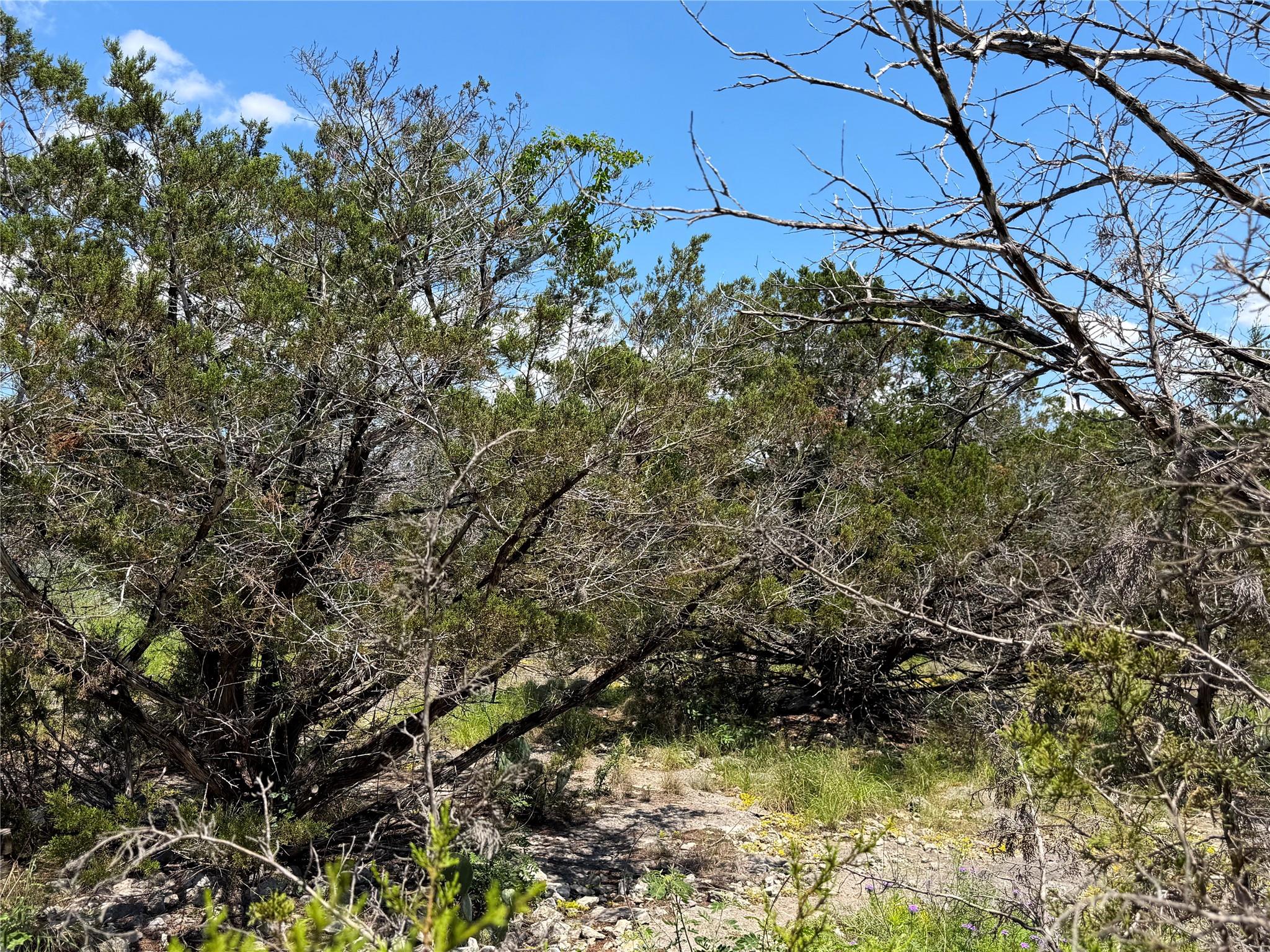 560 Hummingbird Hl, Canyon Lake, TX 78133