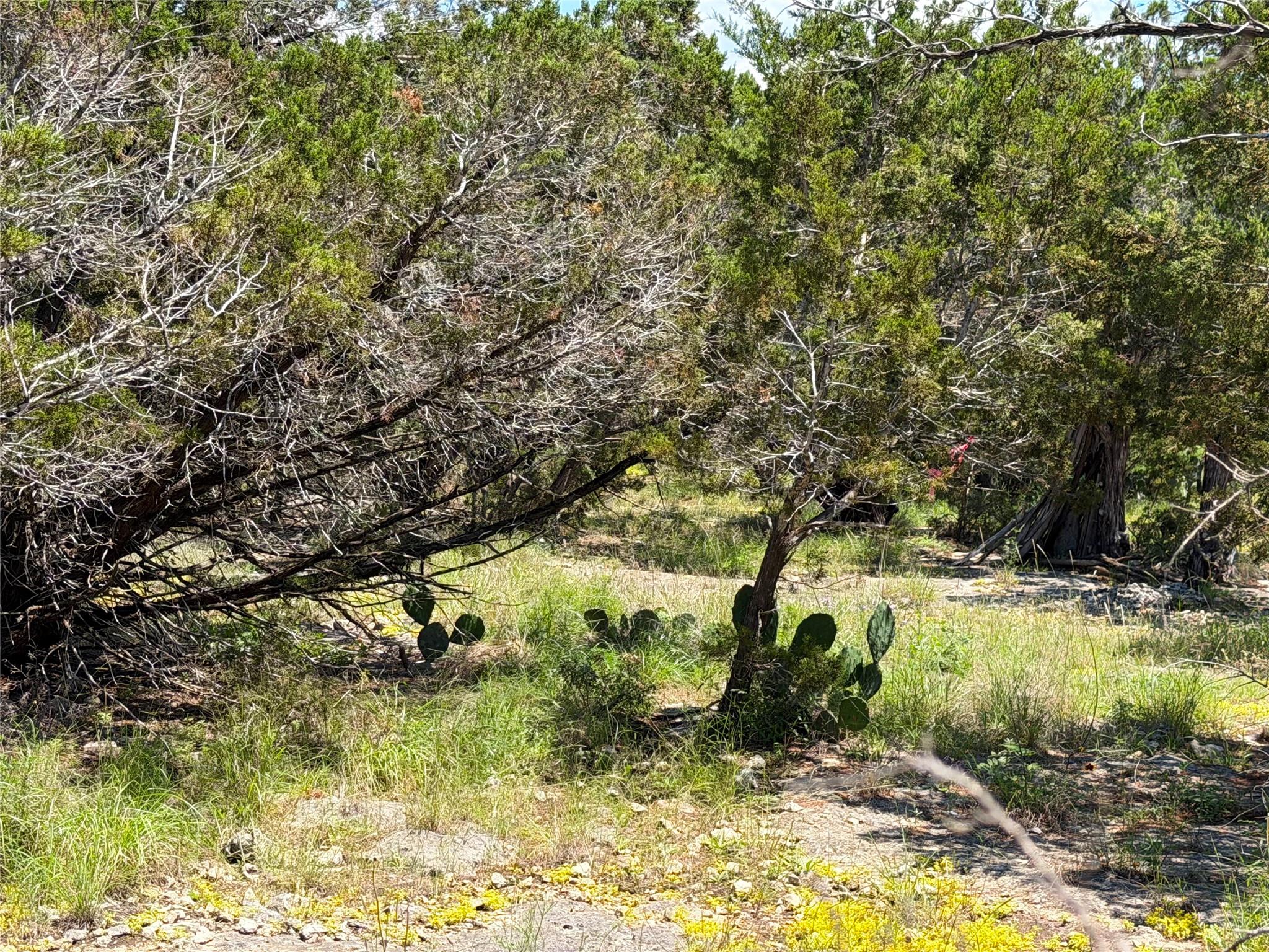 560 Hummingbird Hl, Canyon Lake, TX 78133