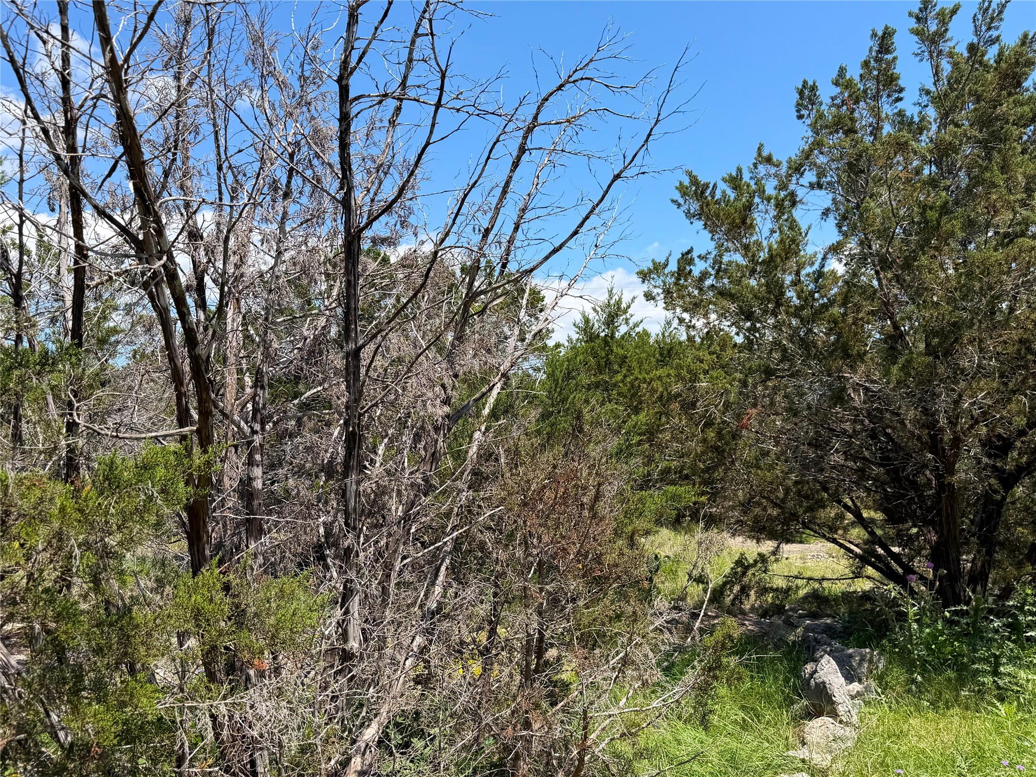 560 Hummingbird Hl, Canyon Lake, TX 78133