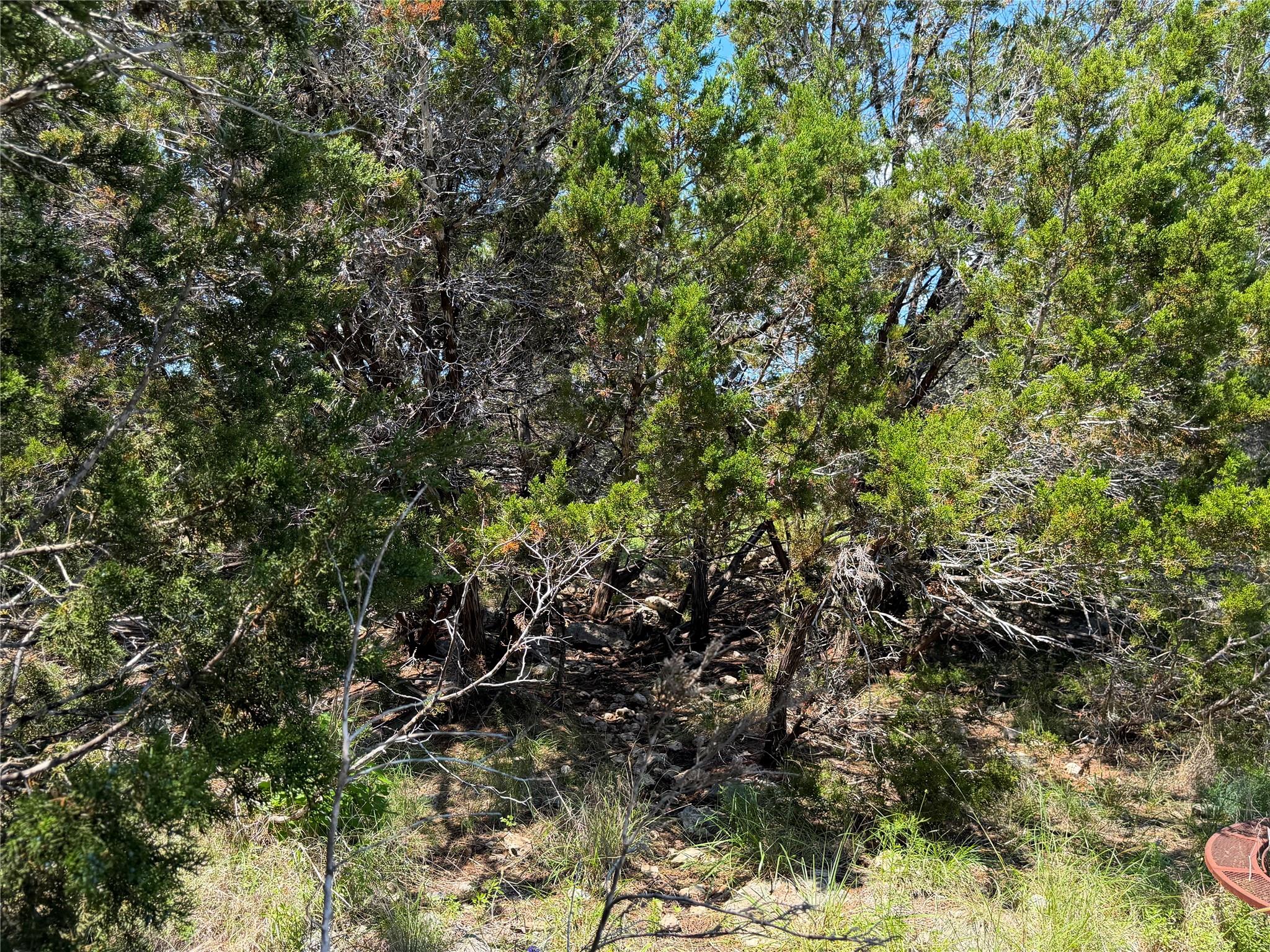 560 Hummingbird Hl, Canyon Lake, TX 78133