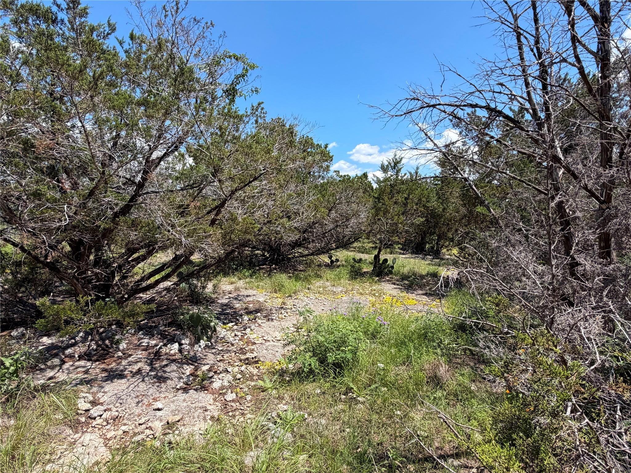 560 Hummingbird Hl, Canyon Lake, TX 78133
