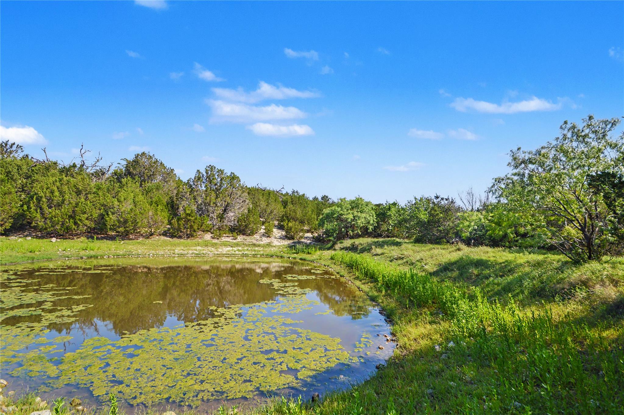 179 E County Road 318 Rd, Goldthwaite, TX 76844