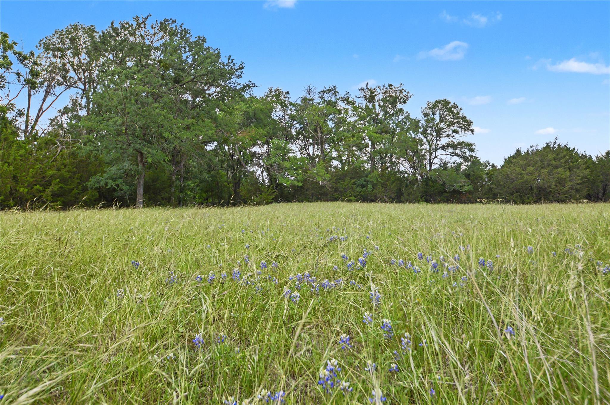 179 E Country Rd 318 2 Rd, Goldthwaite, TX 76844