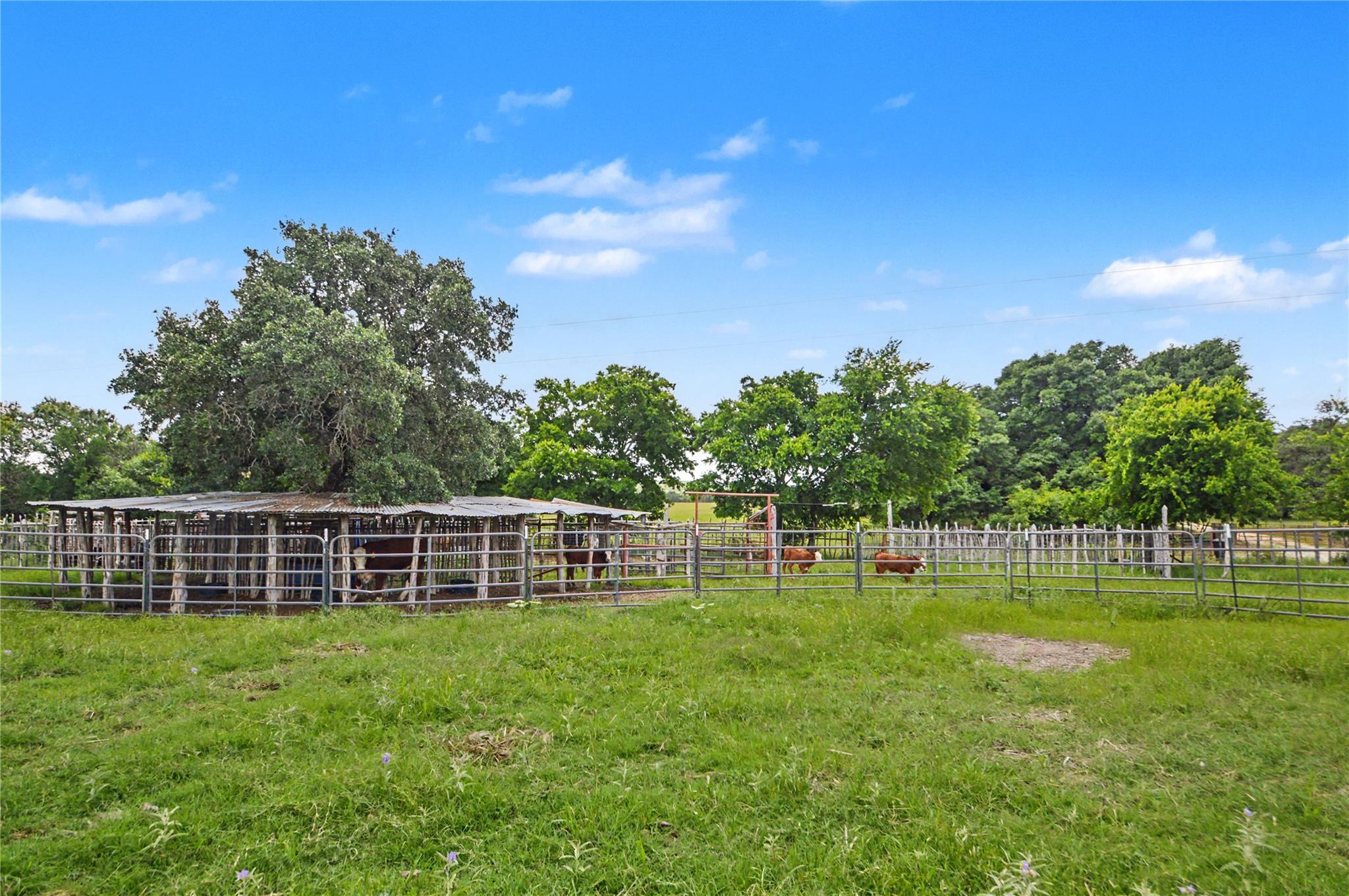 179 E Country Rd 318 2 Rd, Goldthwaite, TX 76844