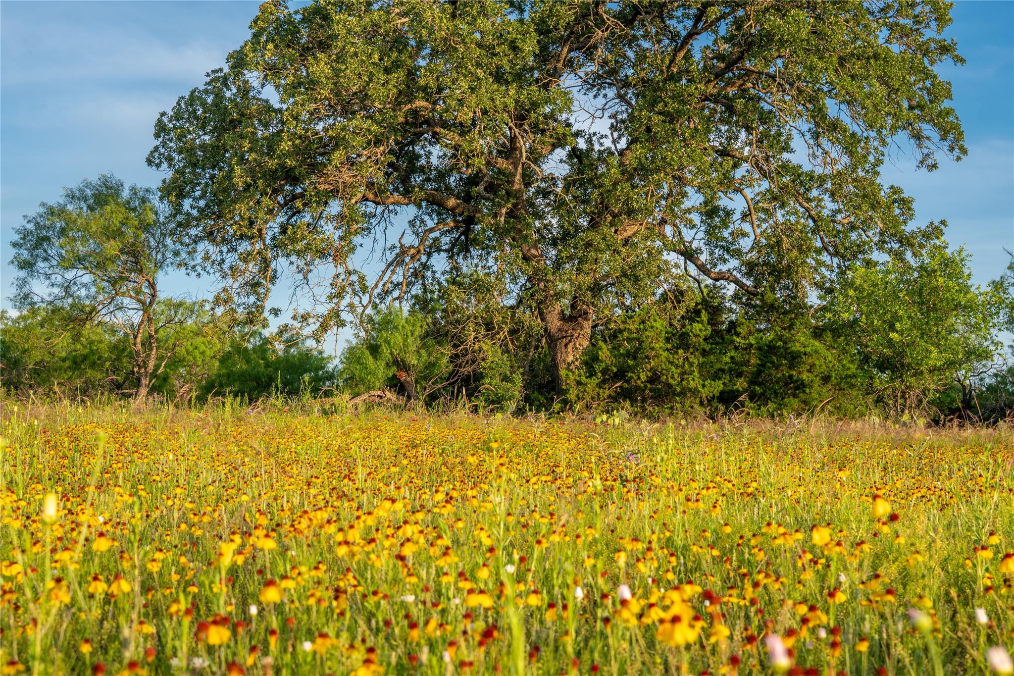 3501 CR120, Marble Falls, TX 78654