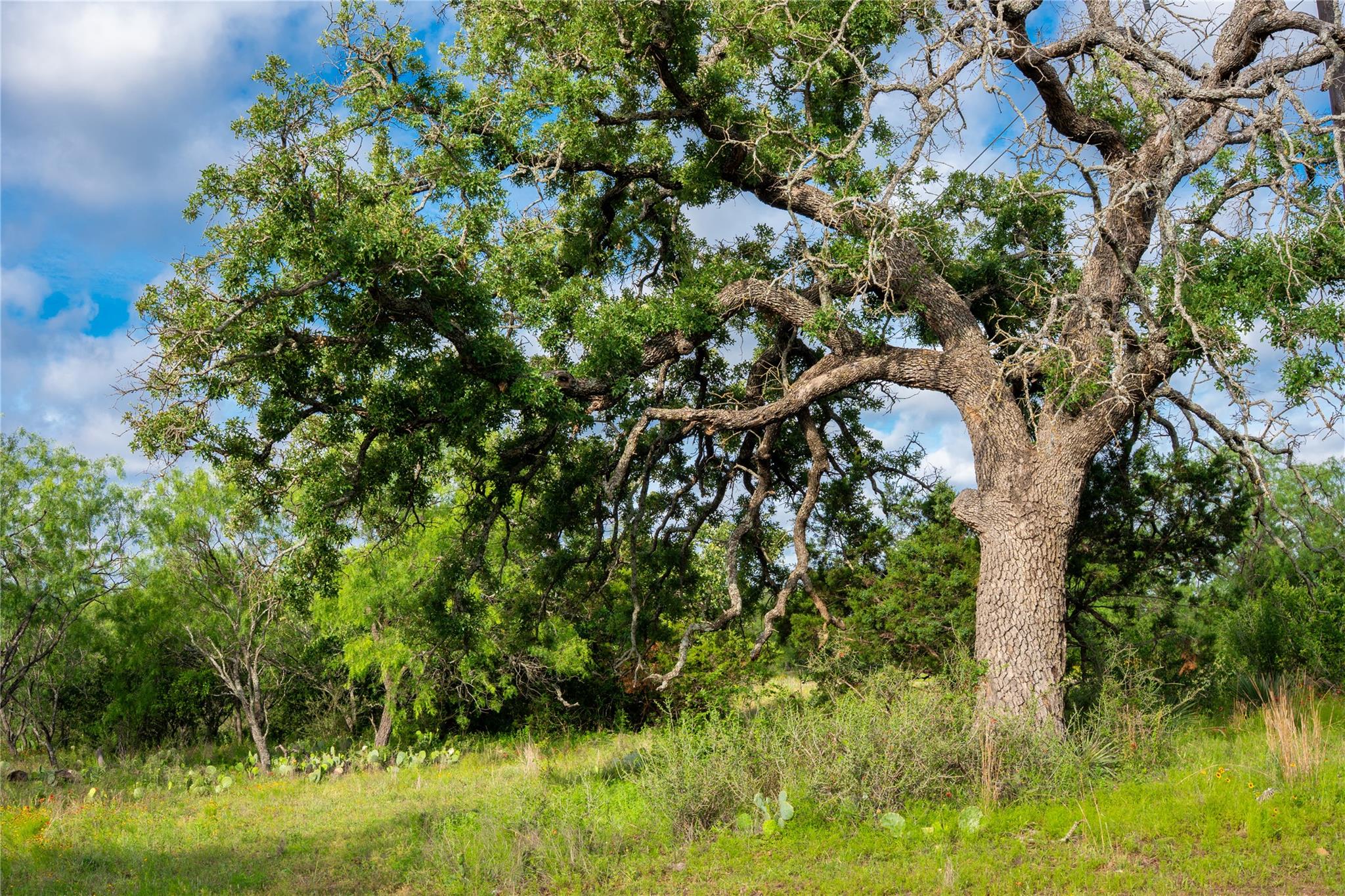 3501 CR120, Marble Falls, TX 78654