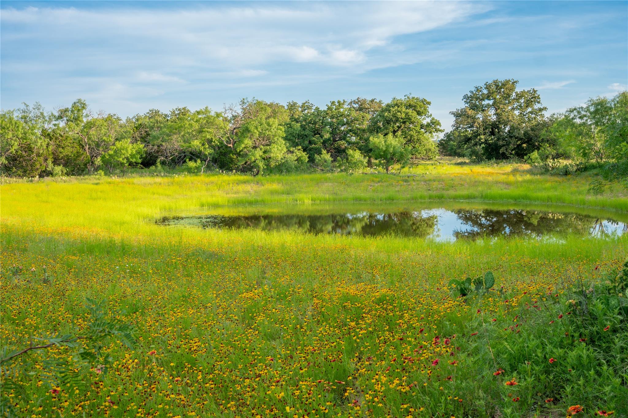 3501 CR120, Marble Falls, TX 78654