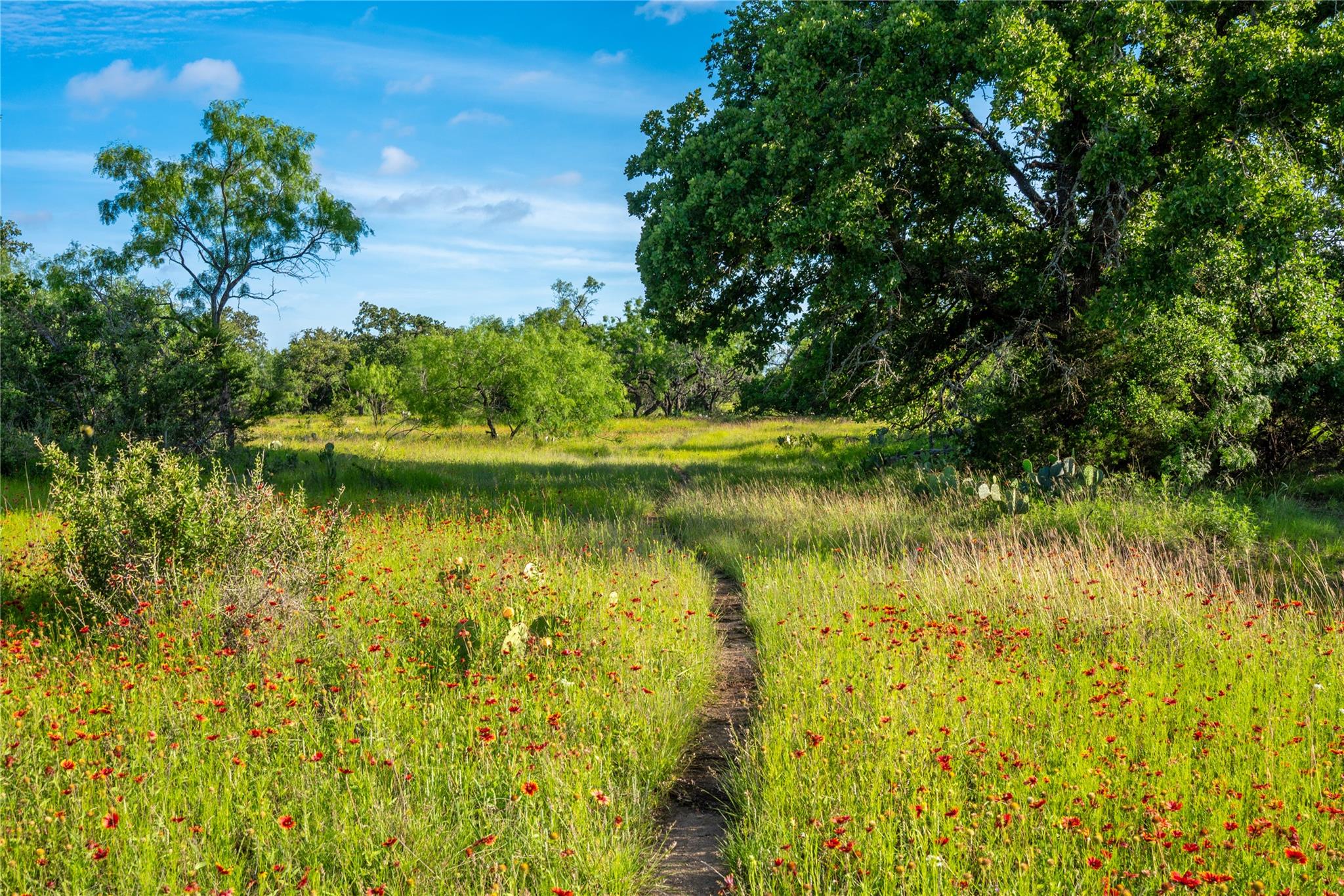 3501 CR120, Marble Falls, TX 78654