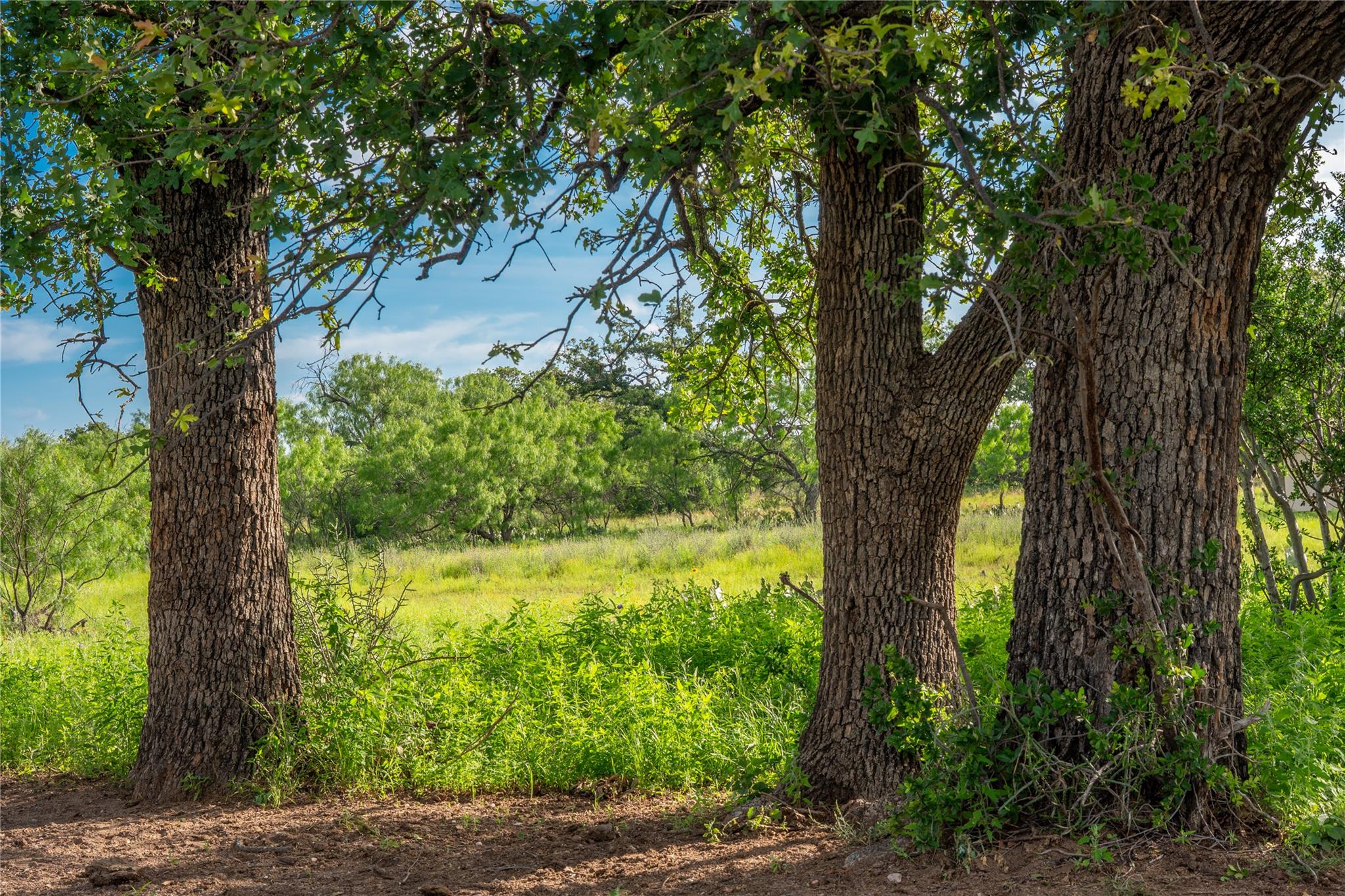 3501 CR120, Marble Falls, TX 78654