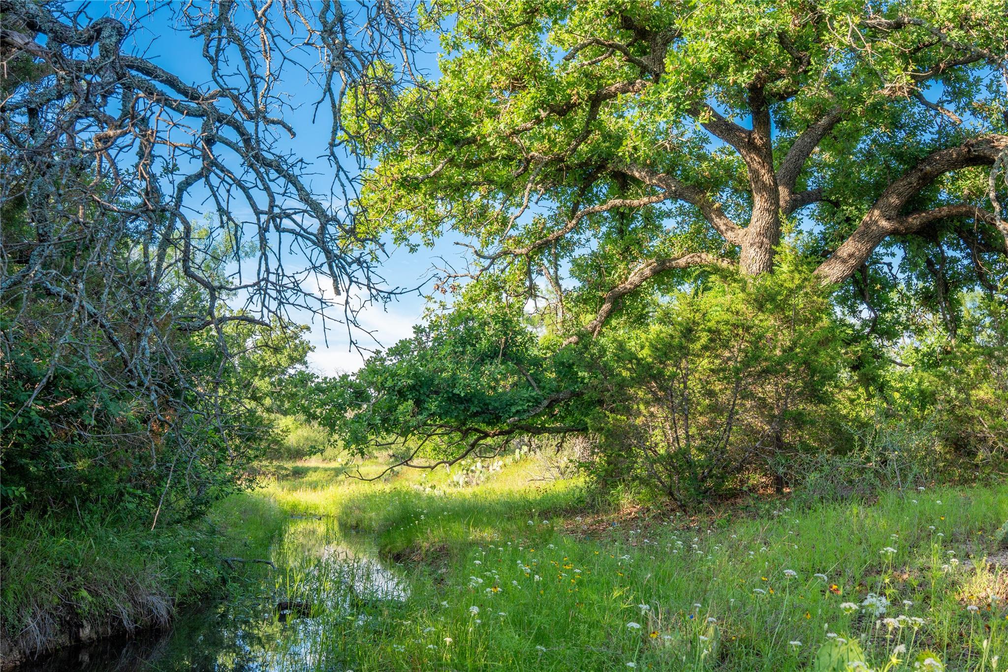 3501 CR120, Marble Falls, TX 78654