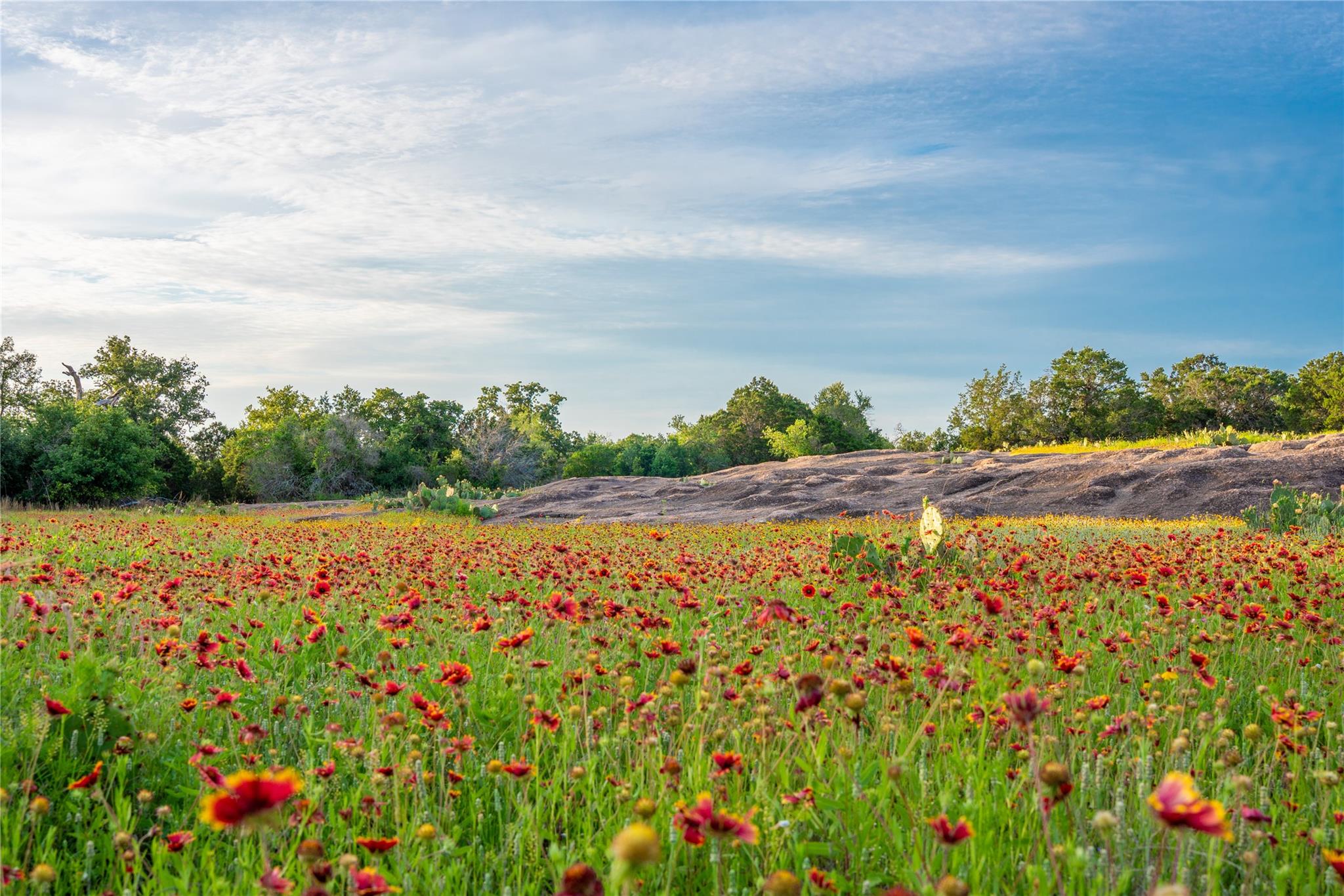 3501 CR120, Marble Falls, TX 78654