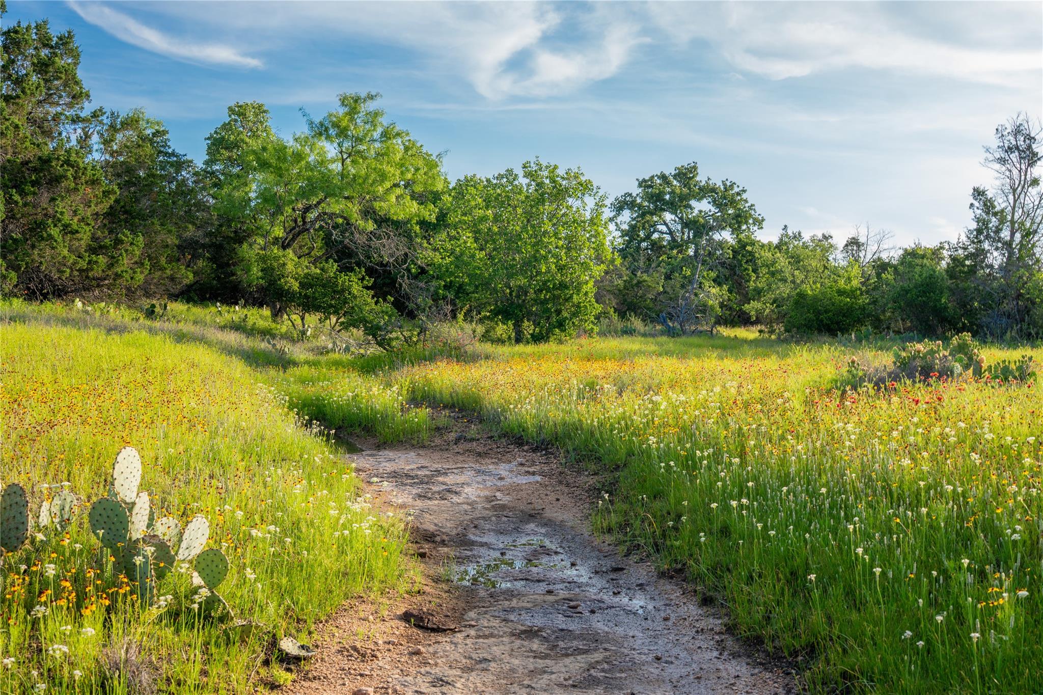 3501 CR120, Marble Falls, TX 78654