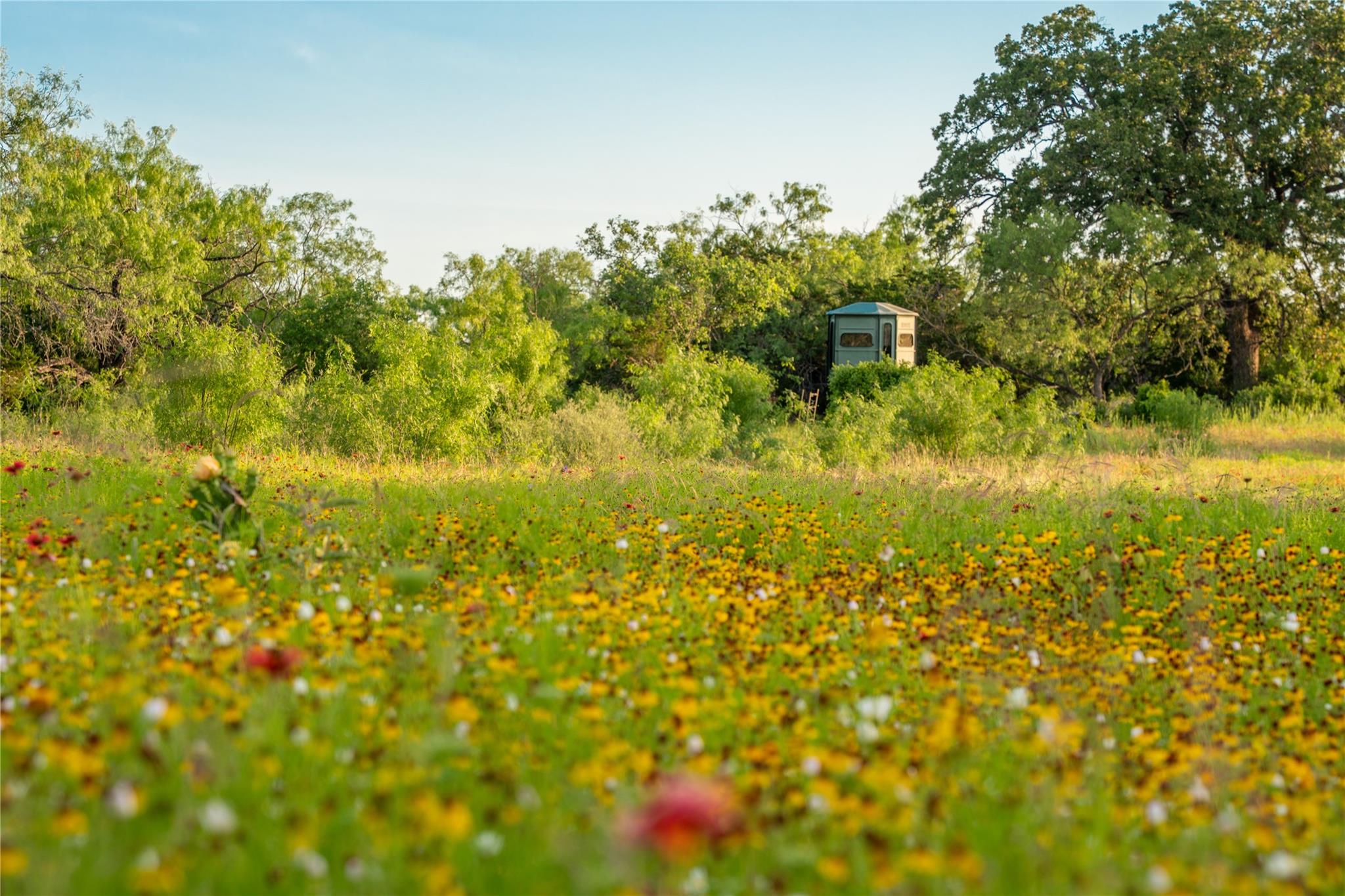 3501 CR120, Marble Falls, TX 78654