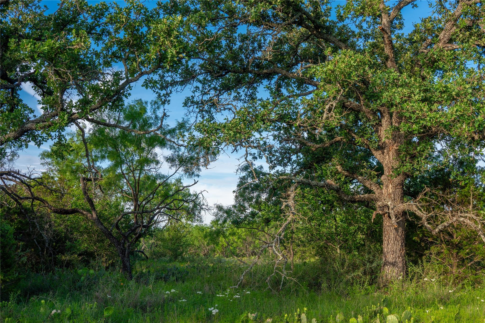 3501 CR120, Marble Falls, TX 78654
