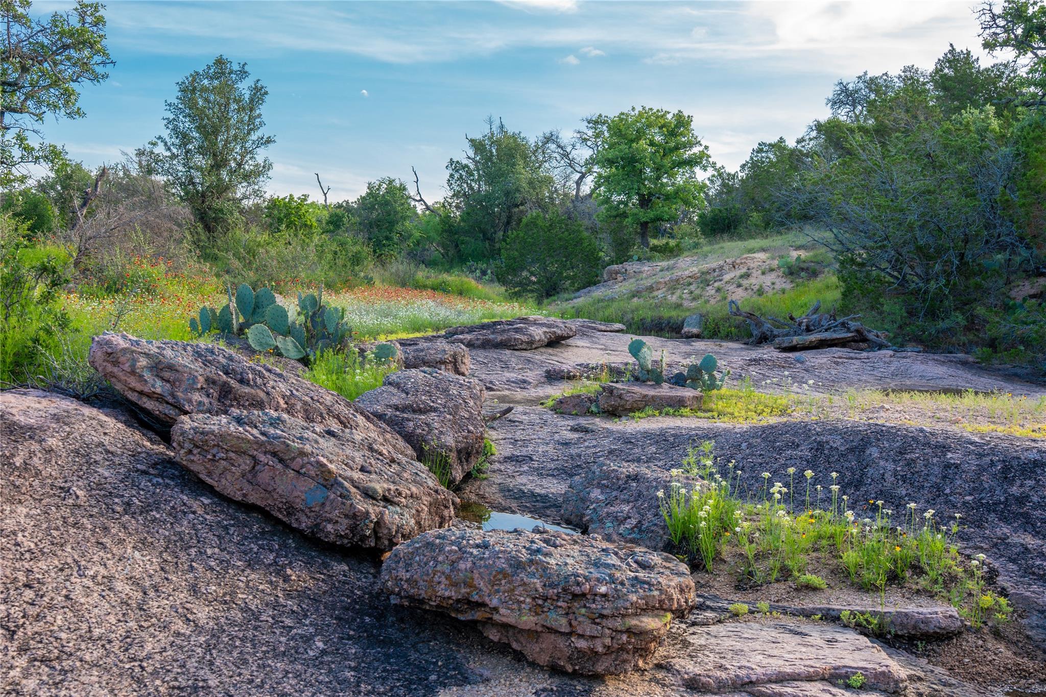 3501 CR120, Marble Falls, TX 78654