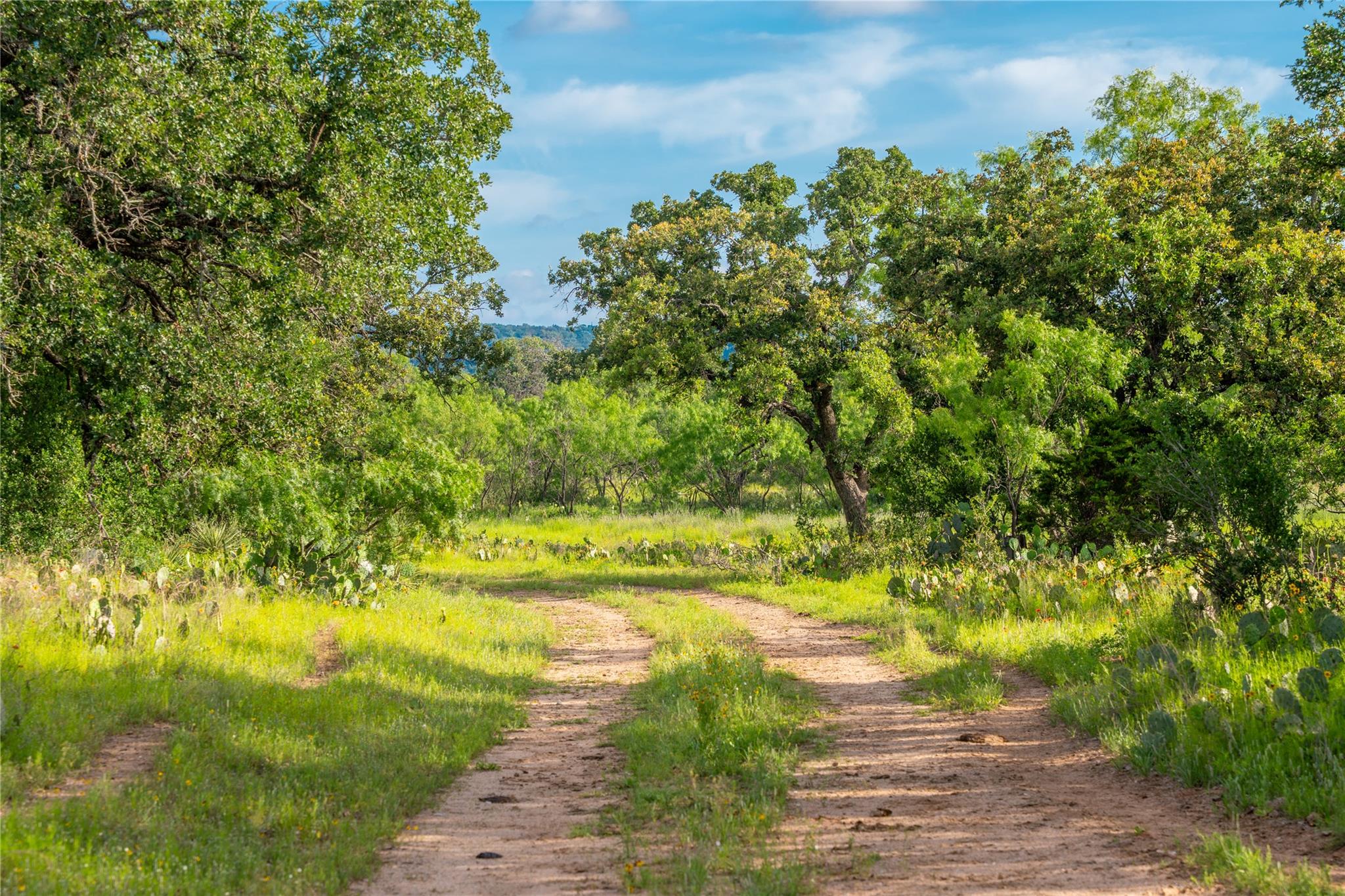 3501 CR120, Marble Falls, TX 78654