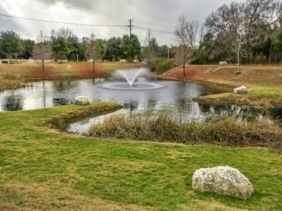 700 Mandarin Flyway # 1402, Cedar Park, TX 78613
