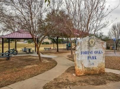 700 Mandarin Flyway # 1402, Cedar Park, TX 78613