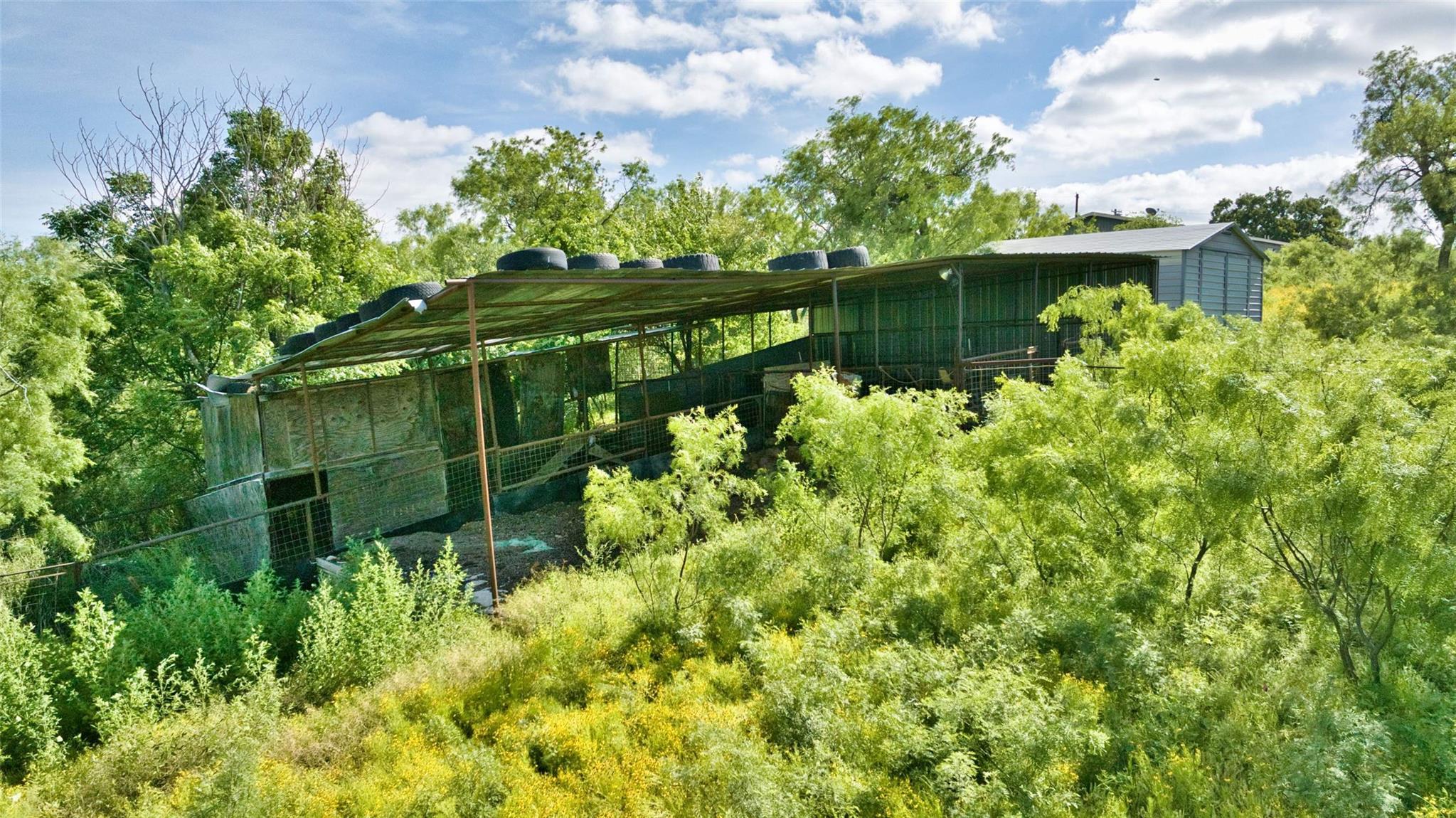 904 Bluebonnet Rd, Mason, TX 76856