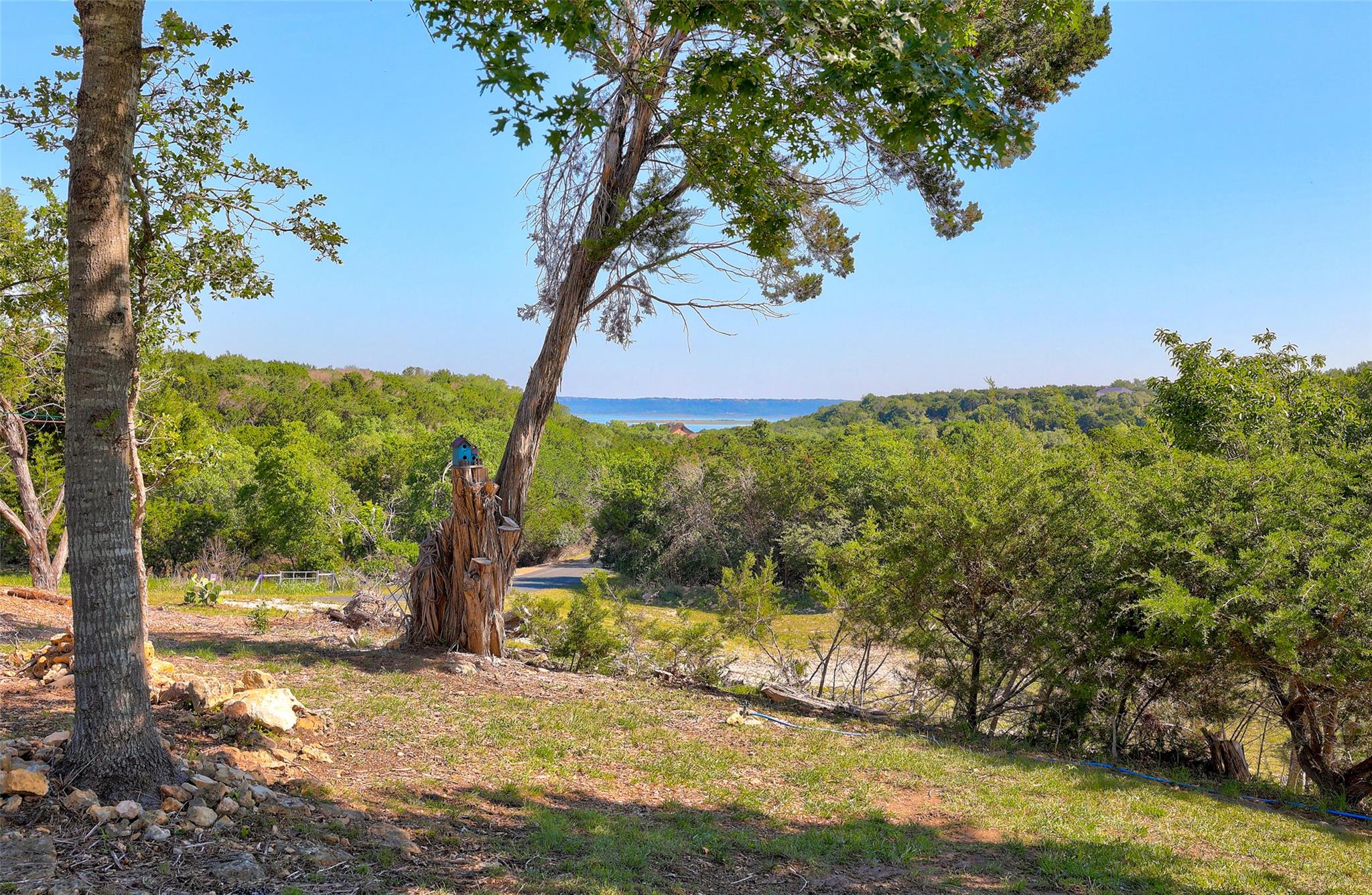 9859 Hodge Canyon Dr, Salado, TX 76571