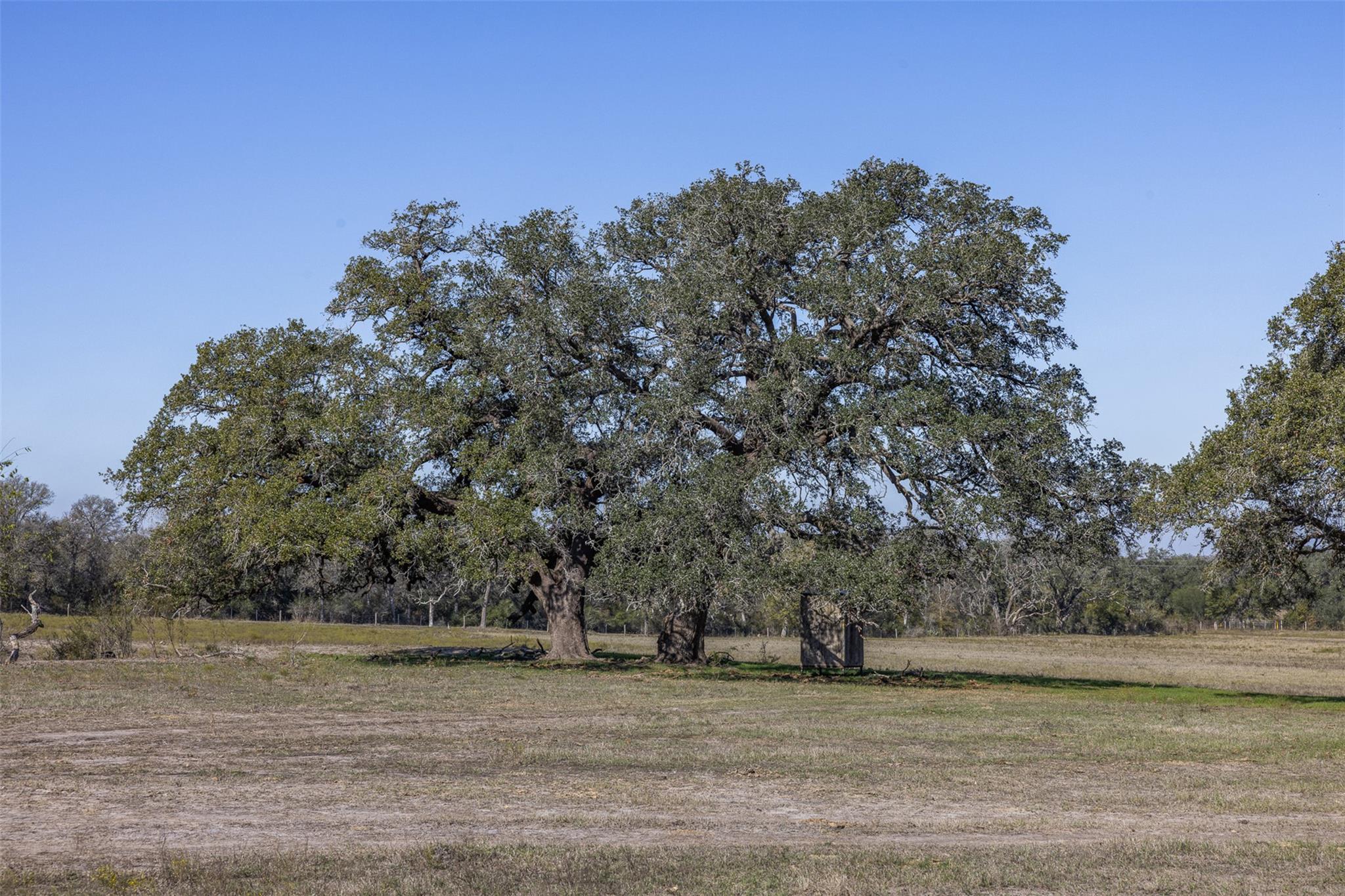Tract J Farm to Market 795, Gonzales, TX 78629