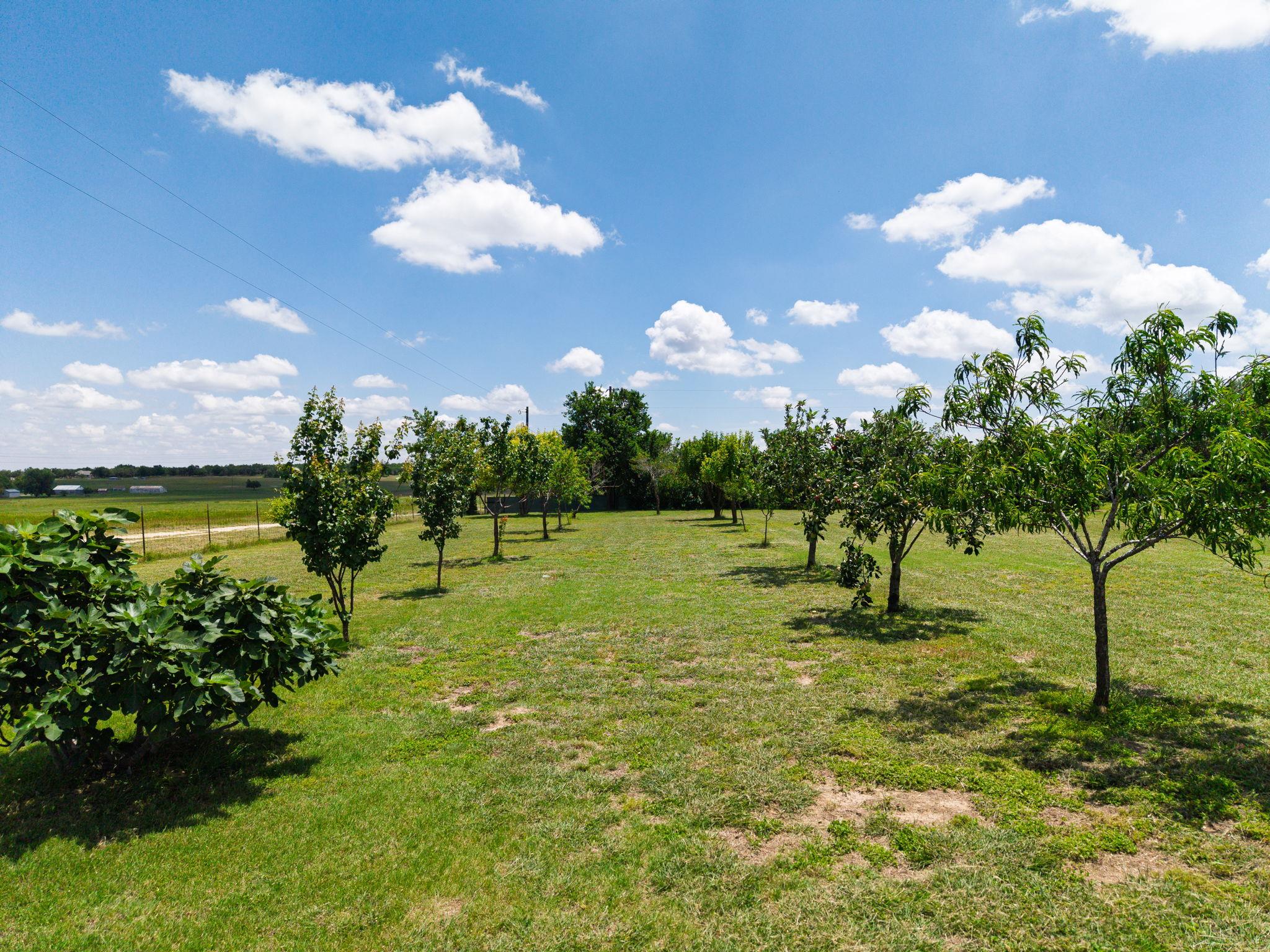 120 Rae Ln, Jarrell, TX 76537