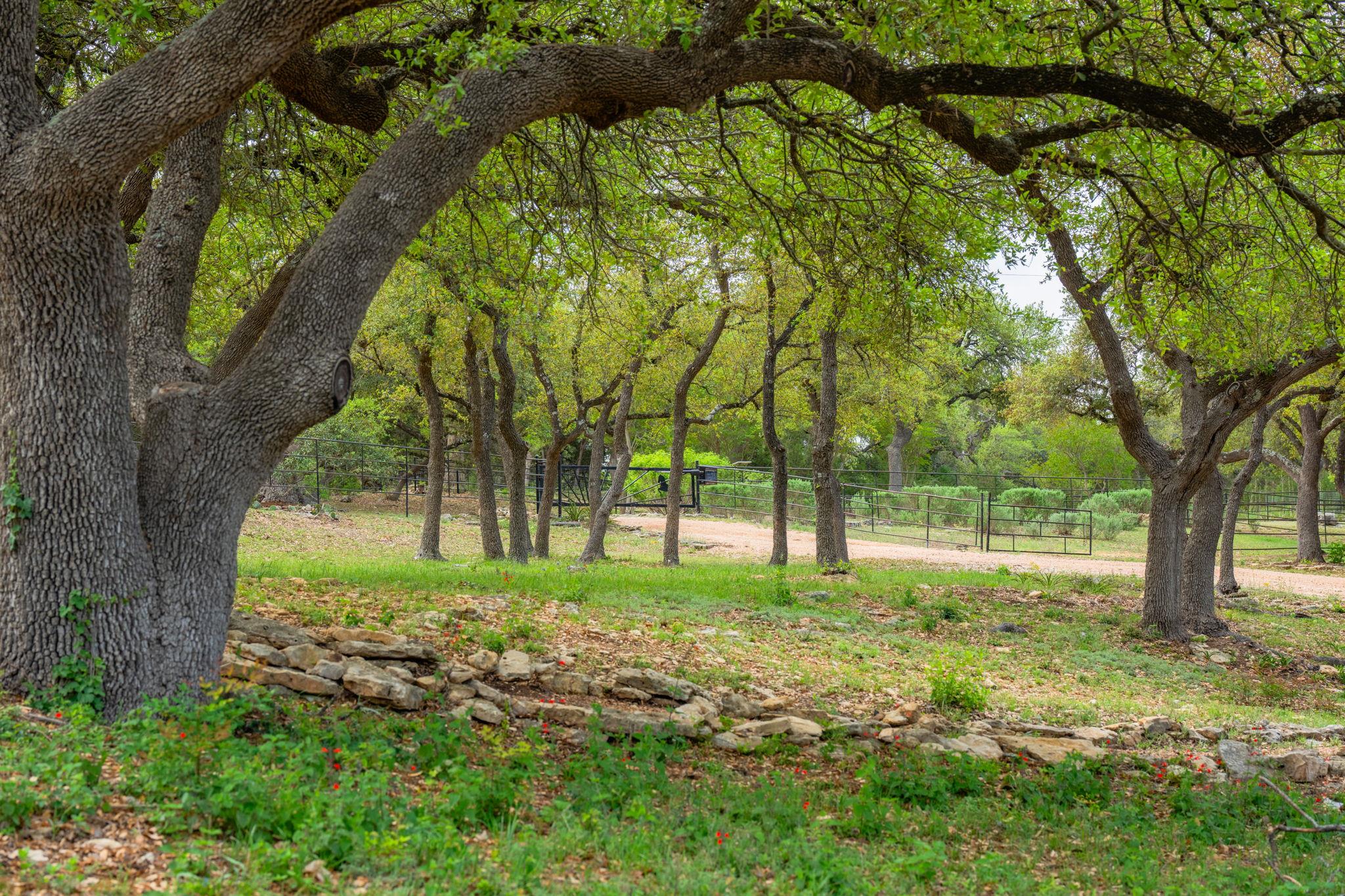 100 Rainbow's End, Wimberley, TX 78676
