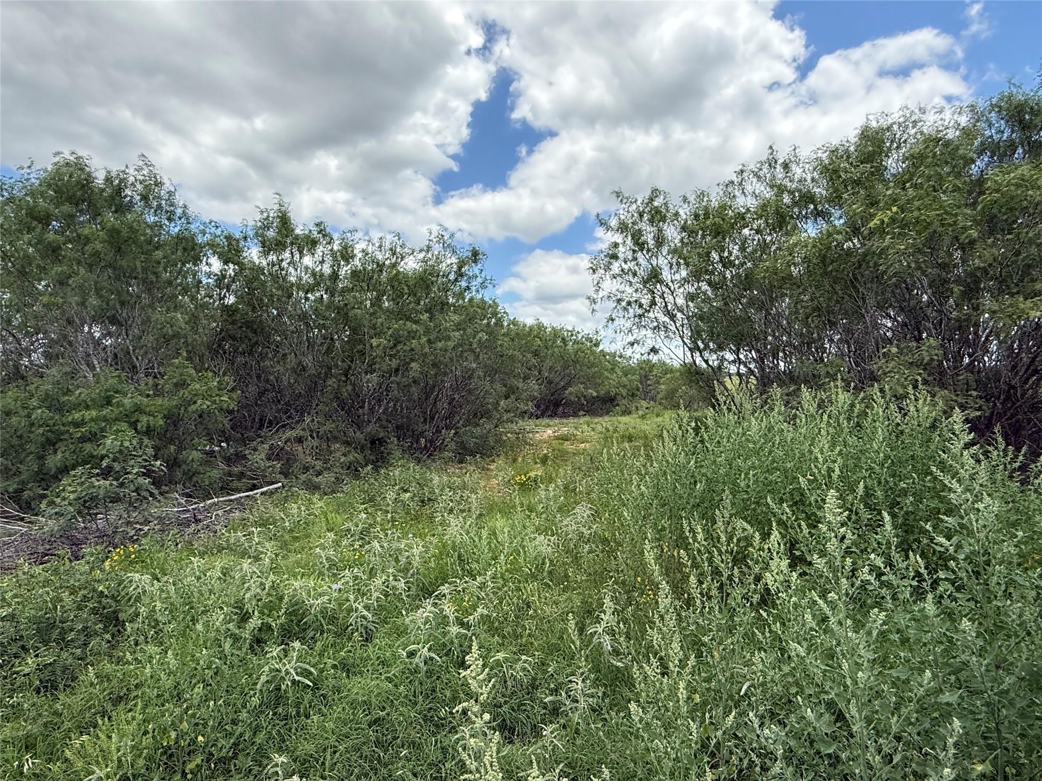 TBD 000 Pettytown Rd, Red Rock, TX 78662
