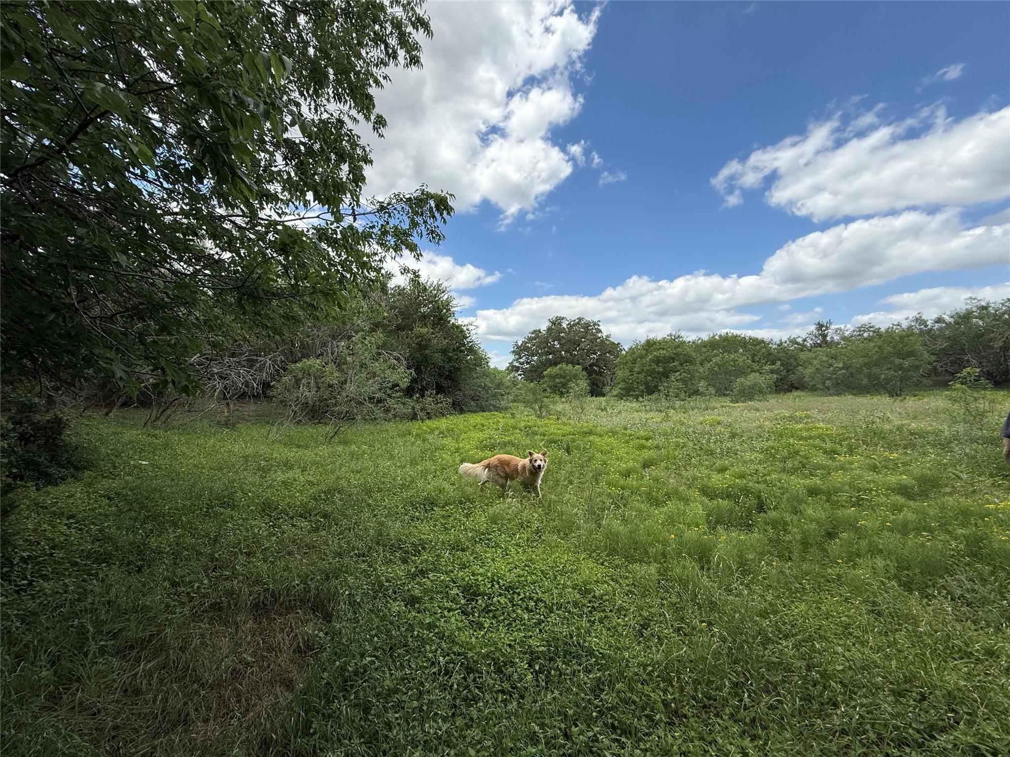 TBD 000 Pettytown Rd, Red Rock, TX 78662