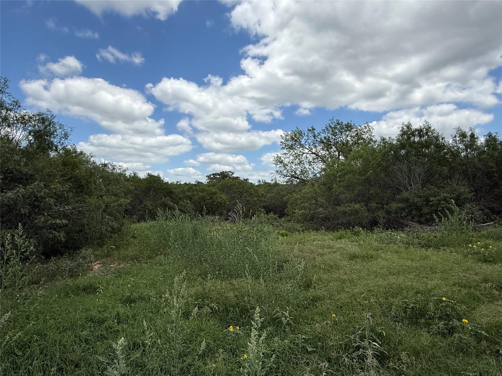TBD 000 Pettytown Rd, Red Rock, TX 78662