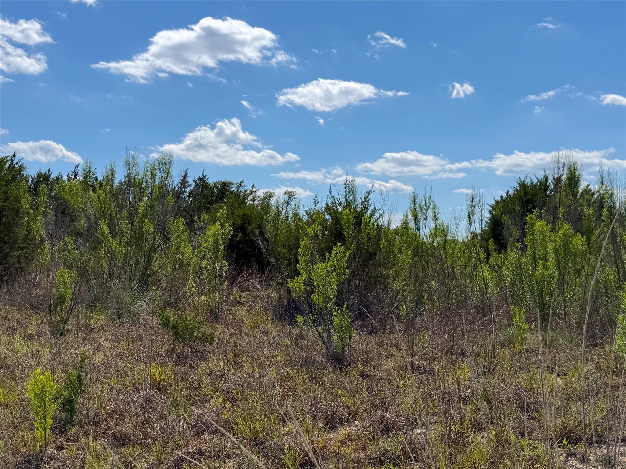 634 MYSTIC Pkwy, Spring Branch, TX 78070