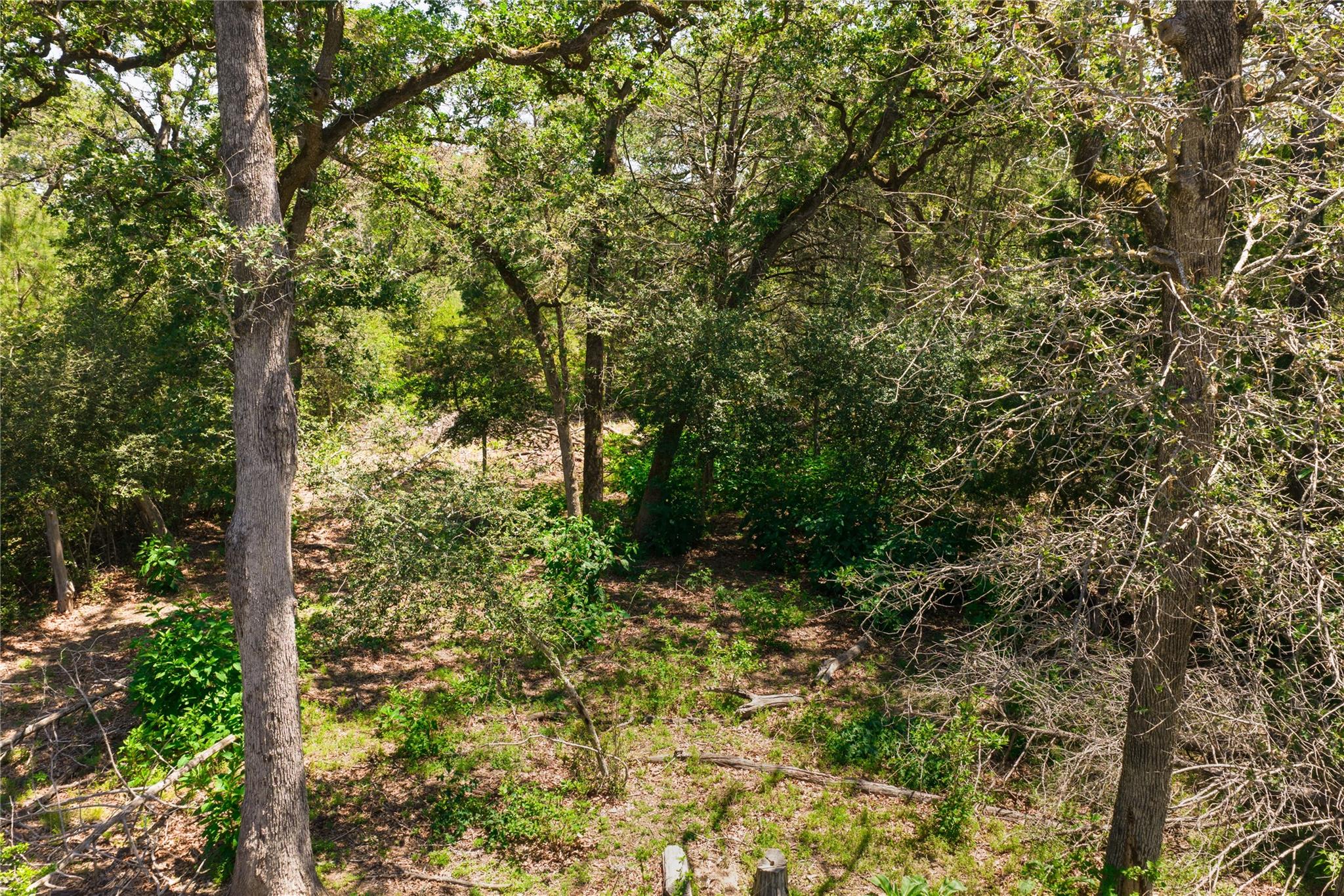 224 Pine Valley Dr, Paige, TX 78659