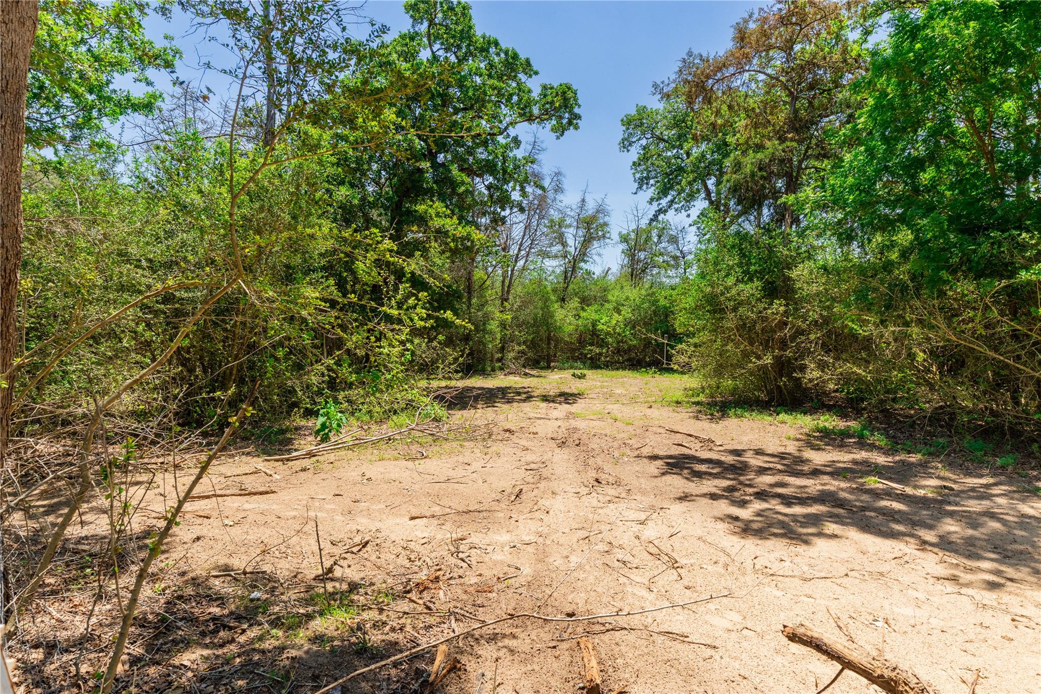 224 Pine Valley Dr, Paige, TX 78659