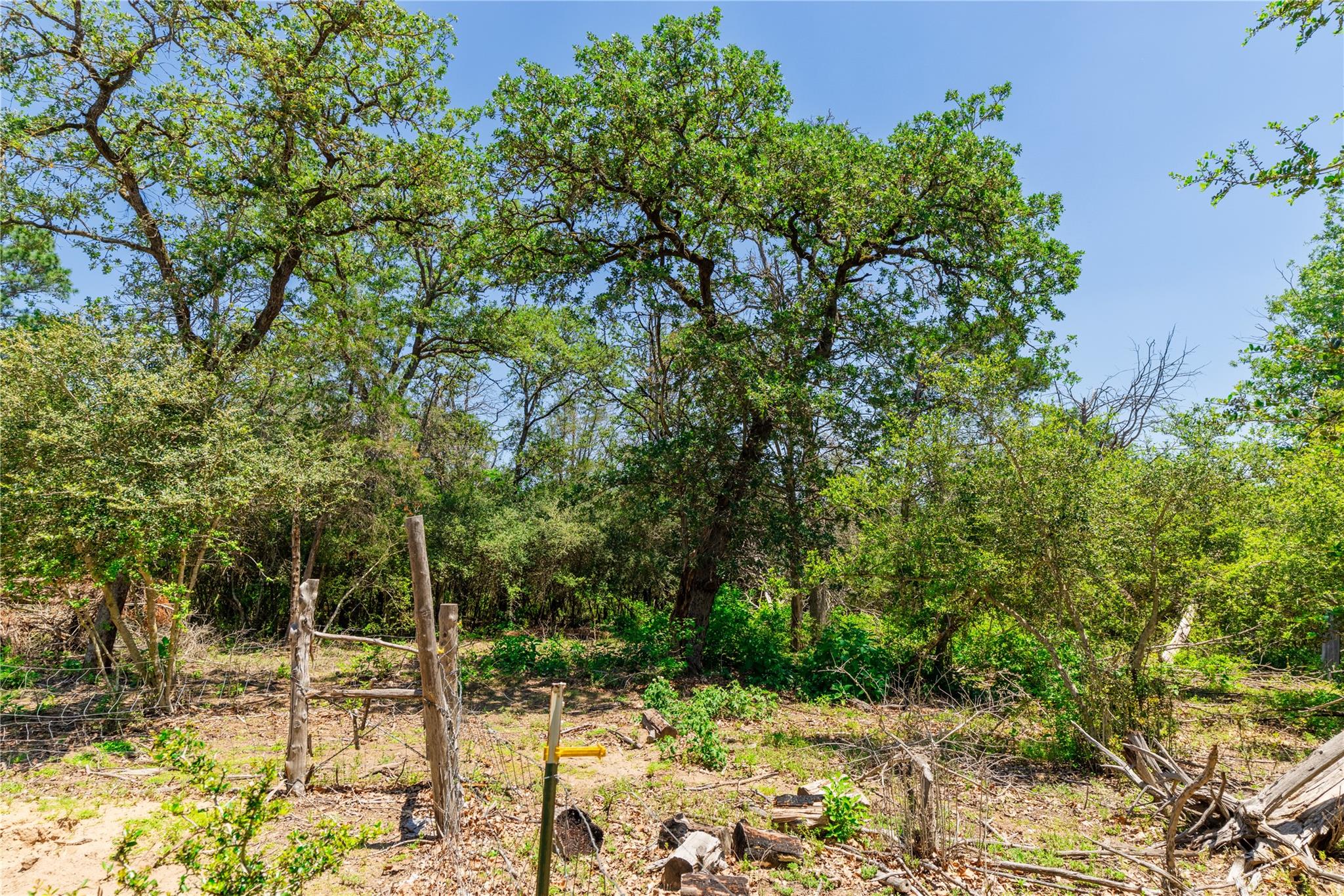 224 Pine Valley Dr, Paige, TX 78659