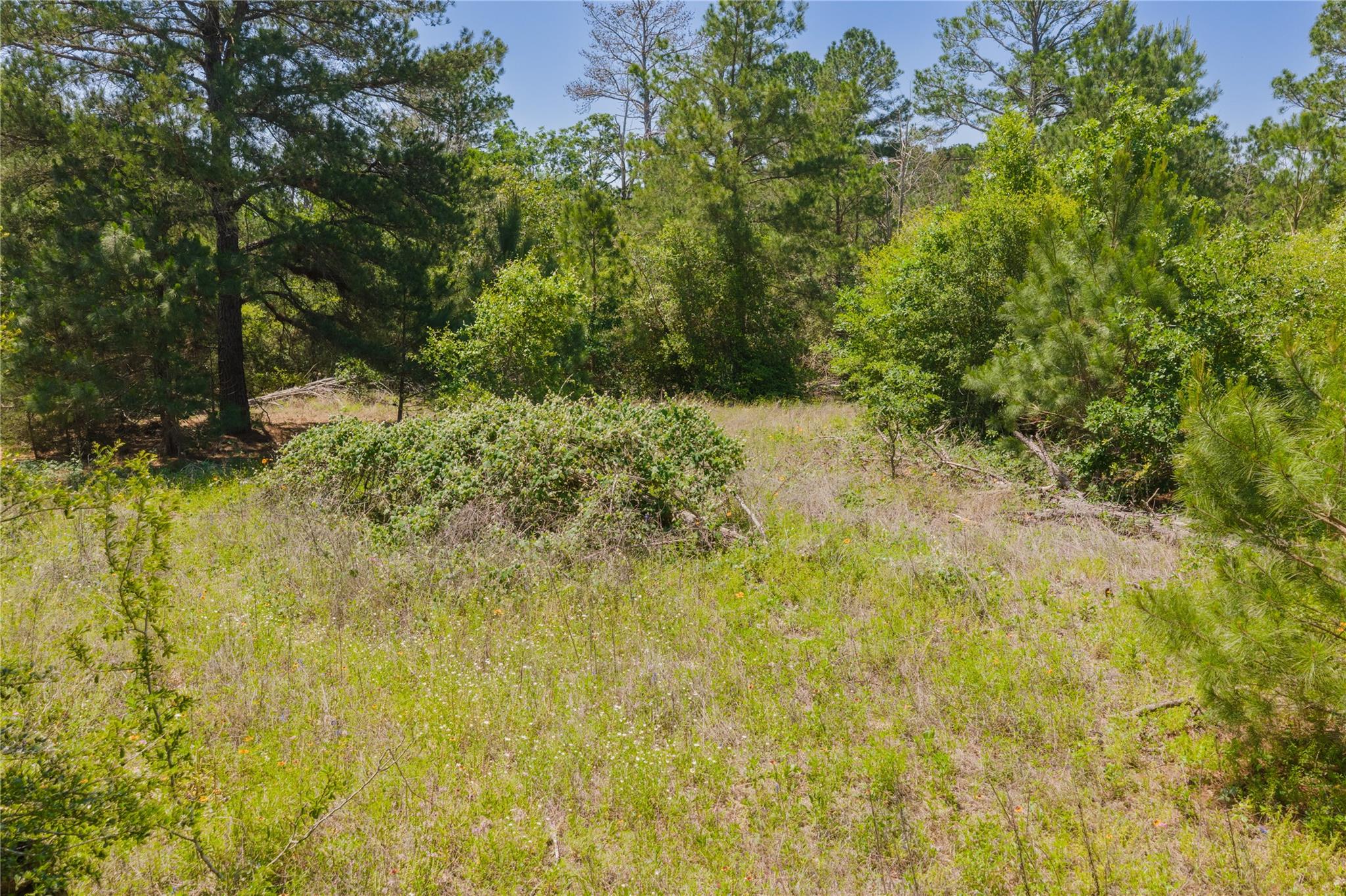 224 Pine Valley Dr, Paige, TX 78659