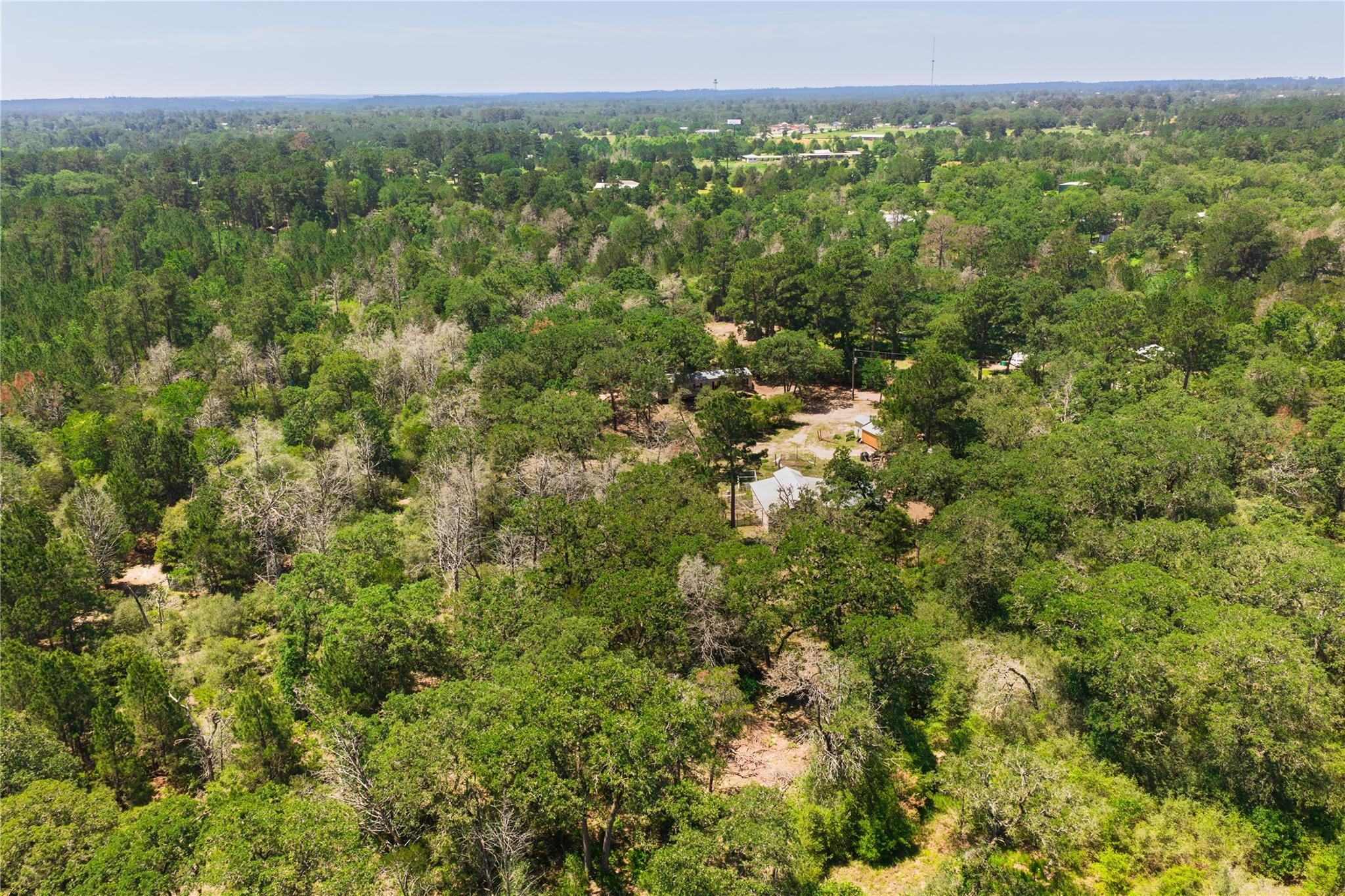 224 Pine Valley Dr, Paige, TX 78659