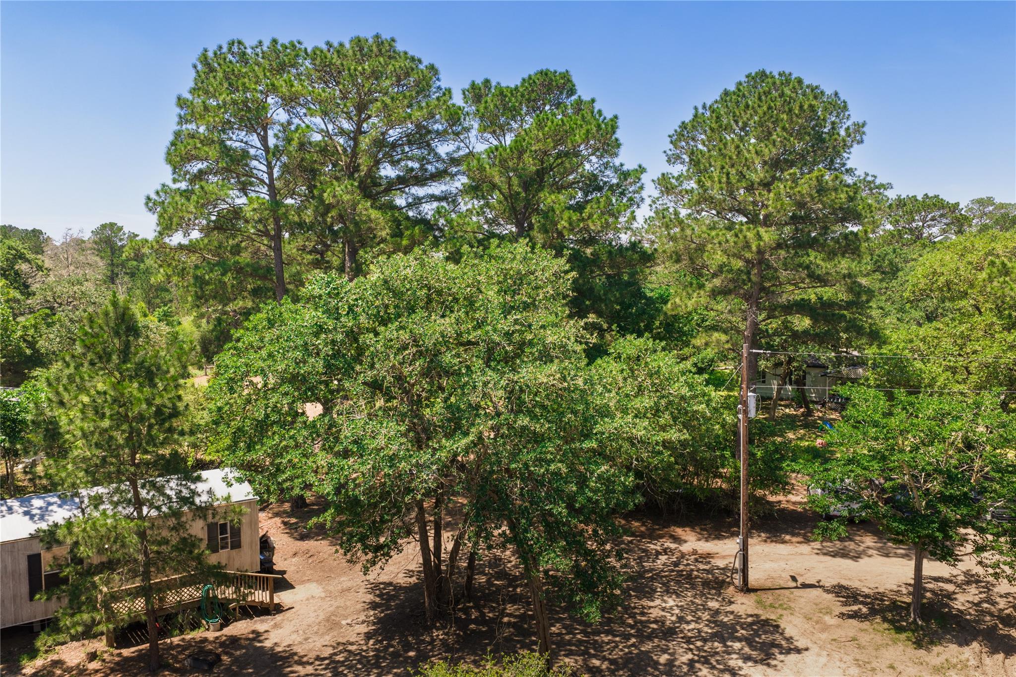 224 Pine Valley Dr, Paige, TX 78659