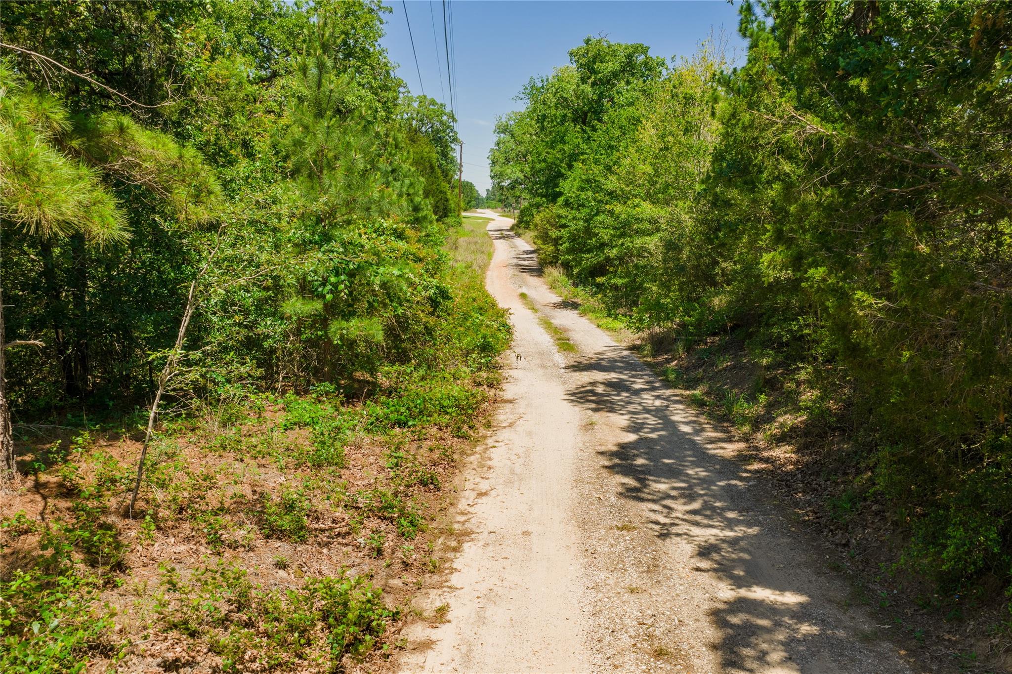 224 Pine Valley Dr, Paige, TX 78659