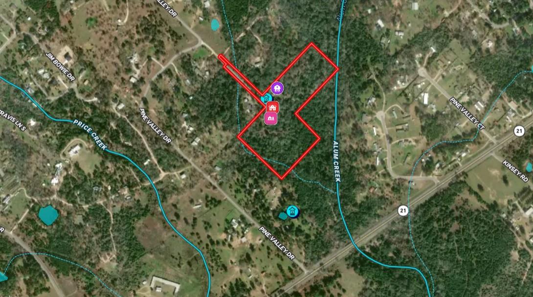 224 Pine Valley Dr, Paige, TX 78659