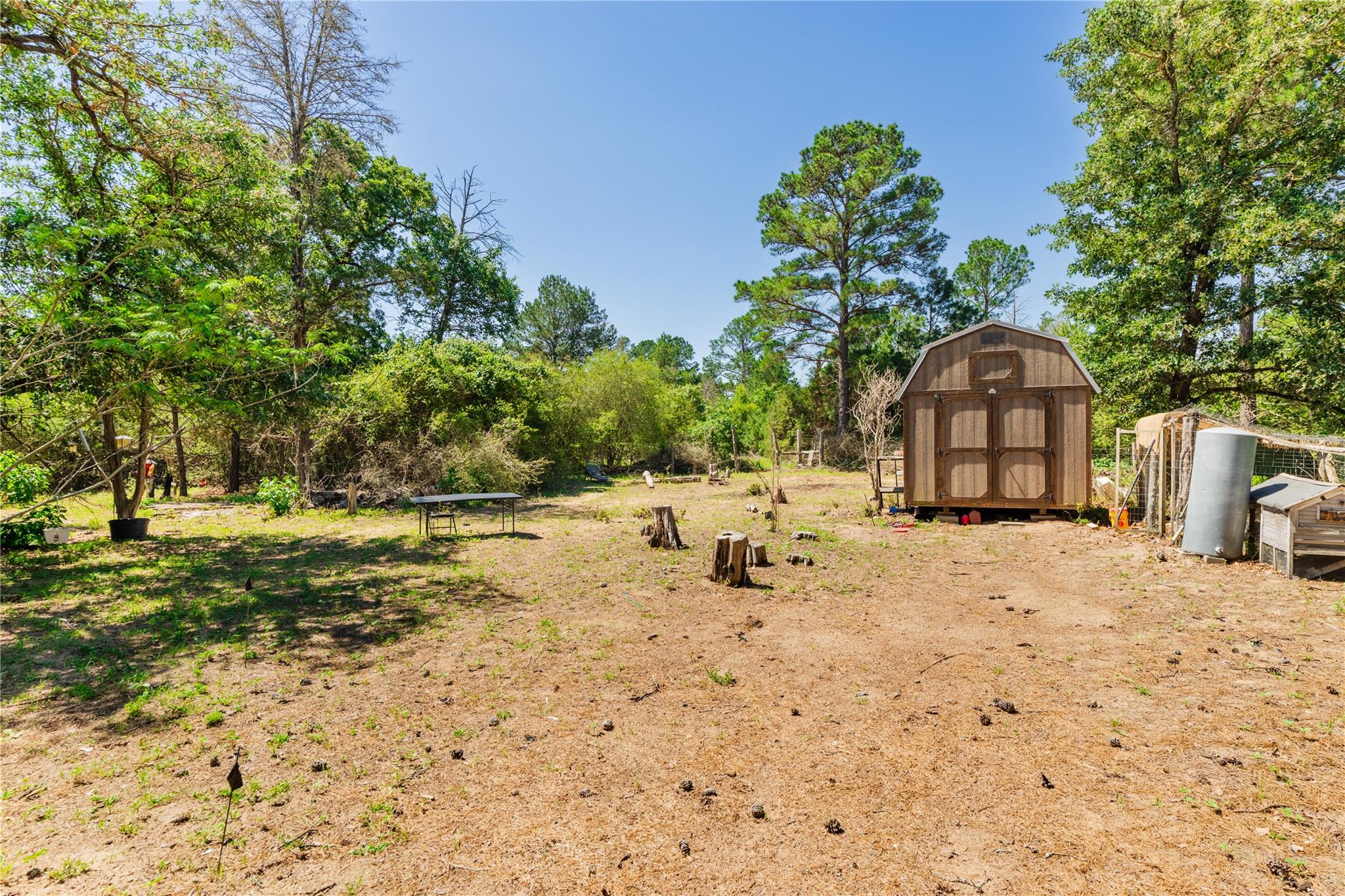 224 Pine Valley Dr, Paige, TX 78659