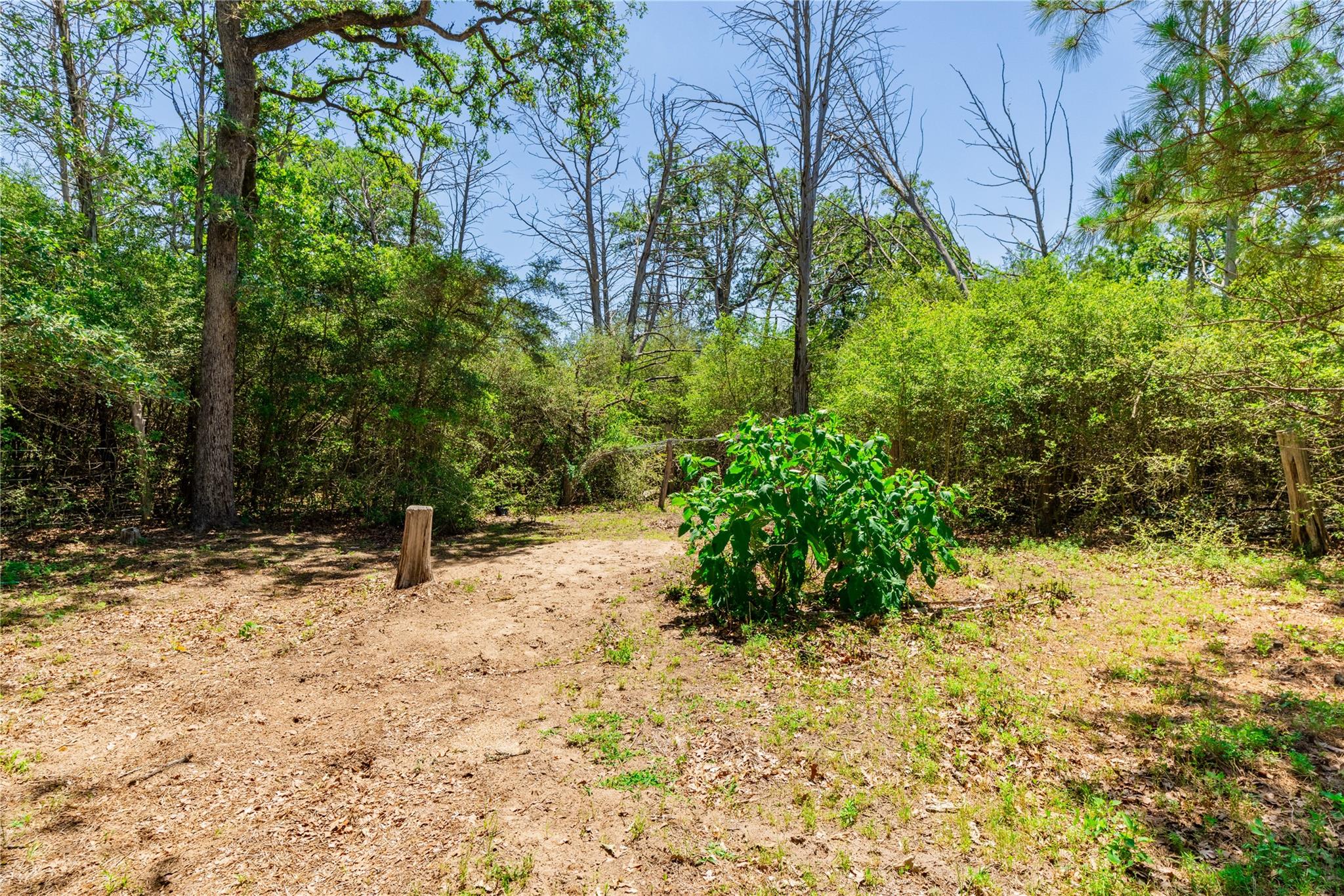 224 Pine Valley Dr, Paige, TX 78659